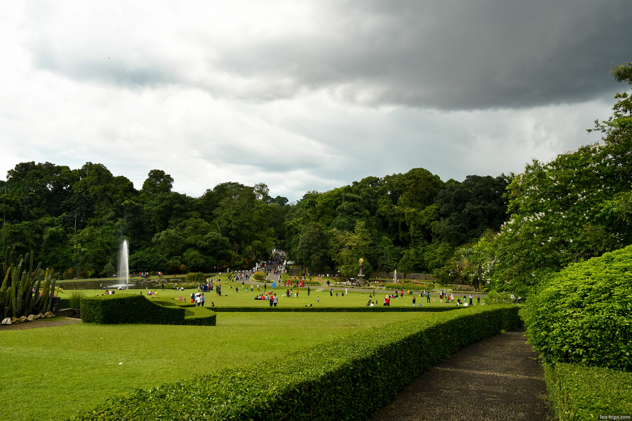 manicured hedges fountain view bogor botanical garden bogor