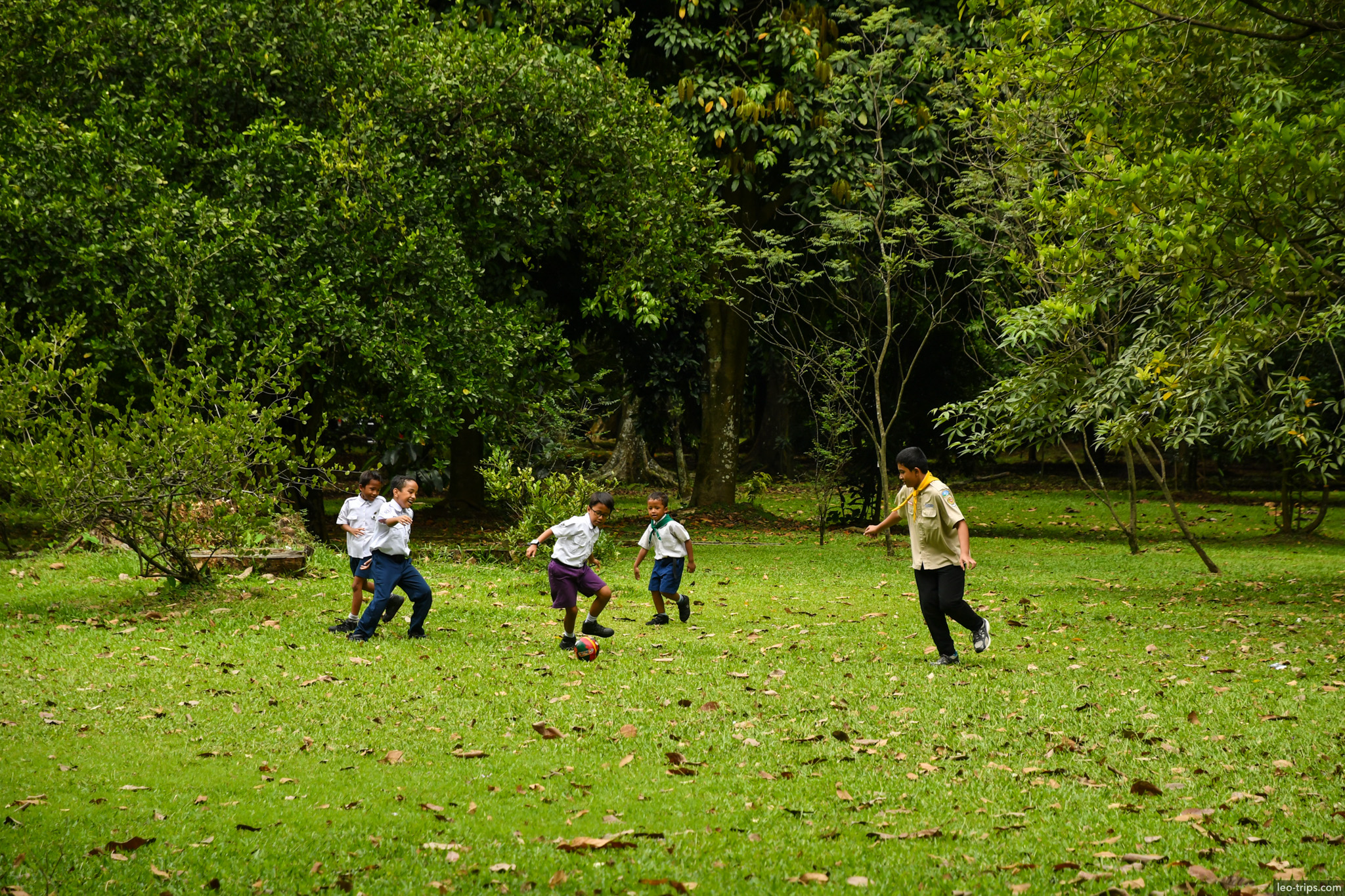 scout kids playing football bogor botanical garden bogor