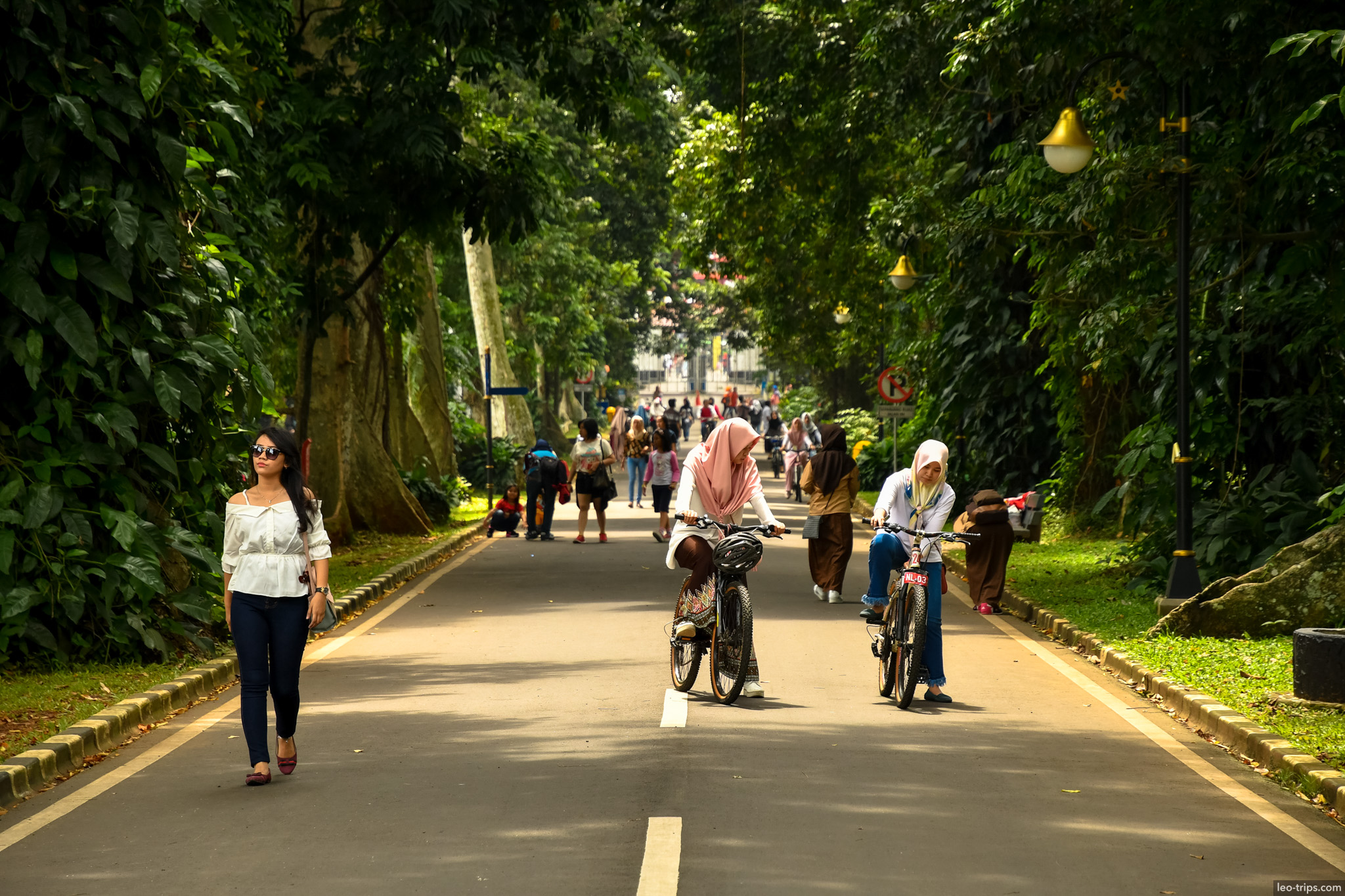 shaded road visitors cycling bogor botanical garden bogor