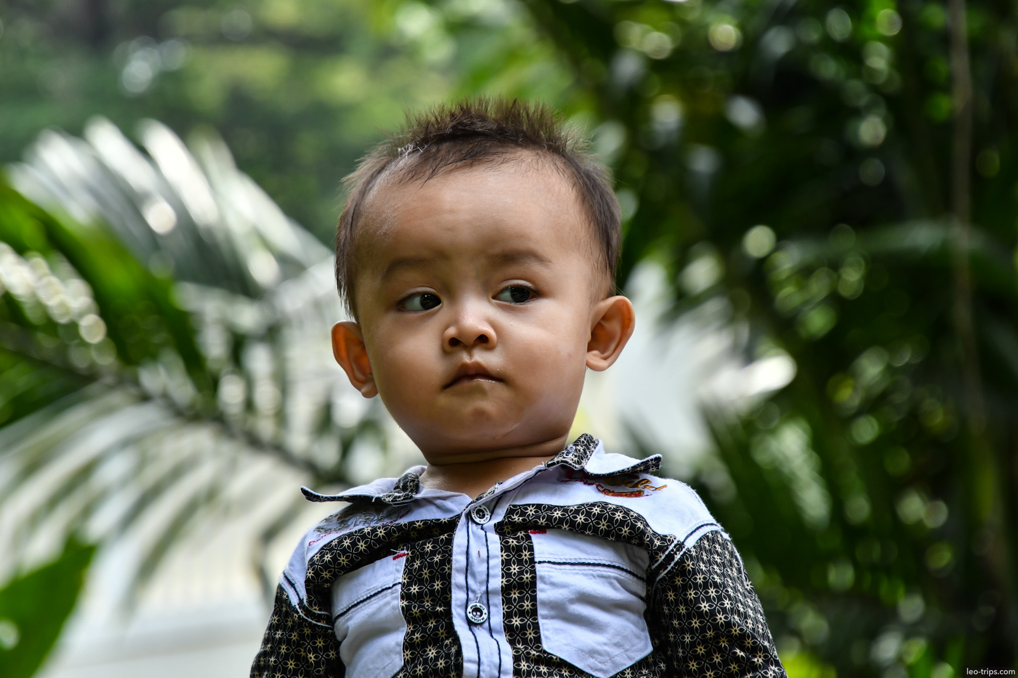toddler portrait tropical garden bogor bogor