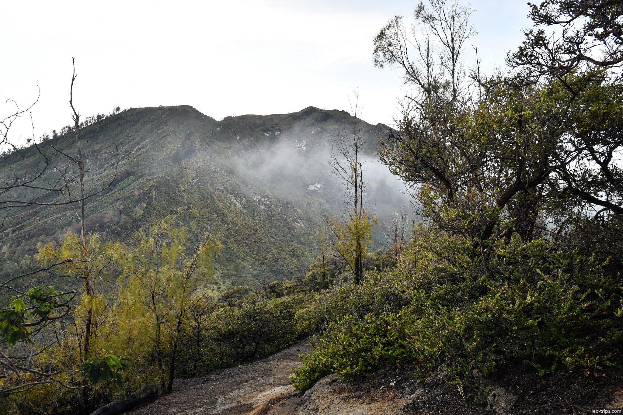 hiking trail to ijen crater through vegetation ijen lake