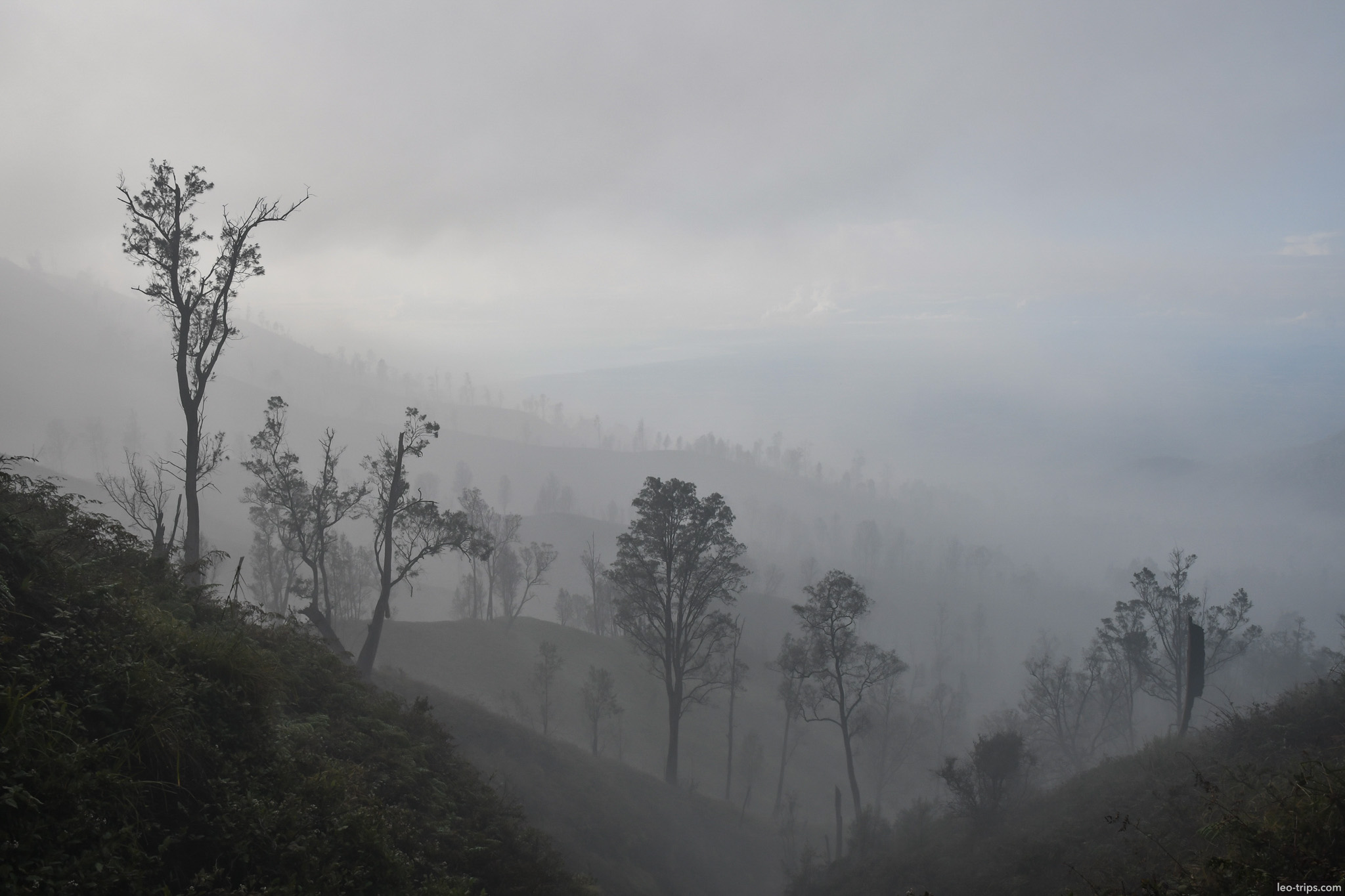 misty mountain forest silhouettes ijen ijen lake