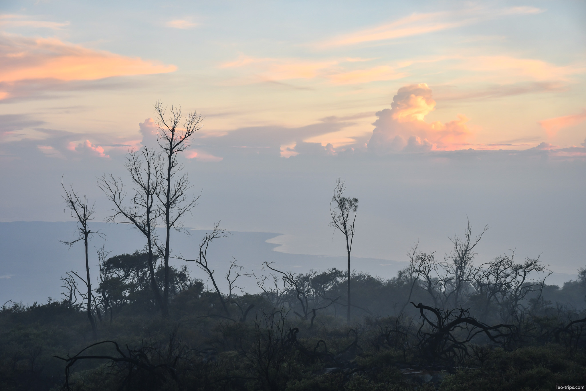 sunrise over misty forest silhouettes ijen ijen lake