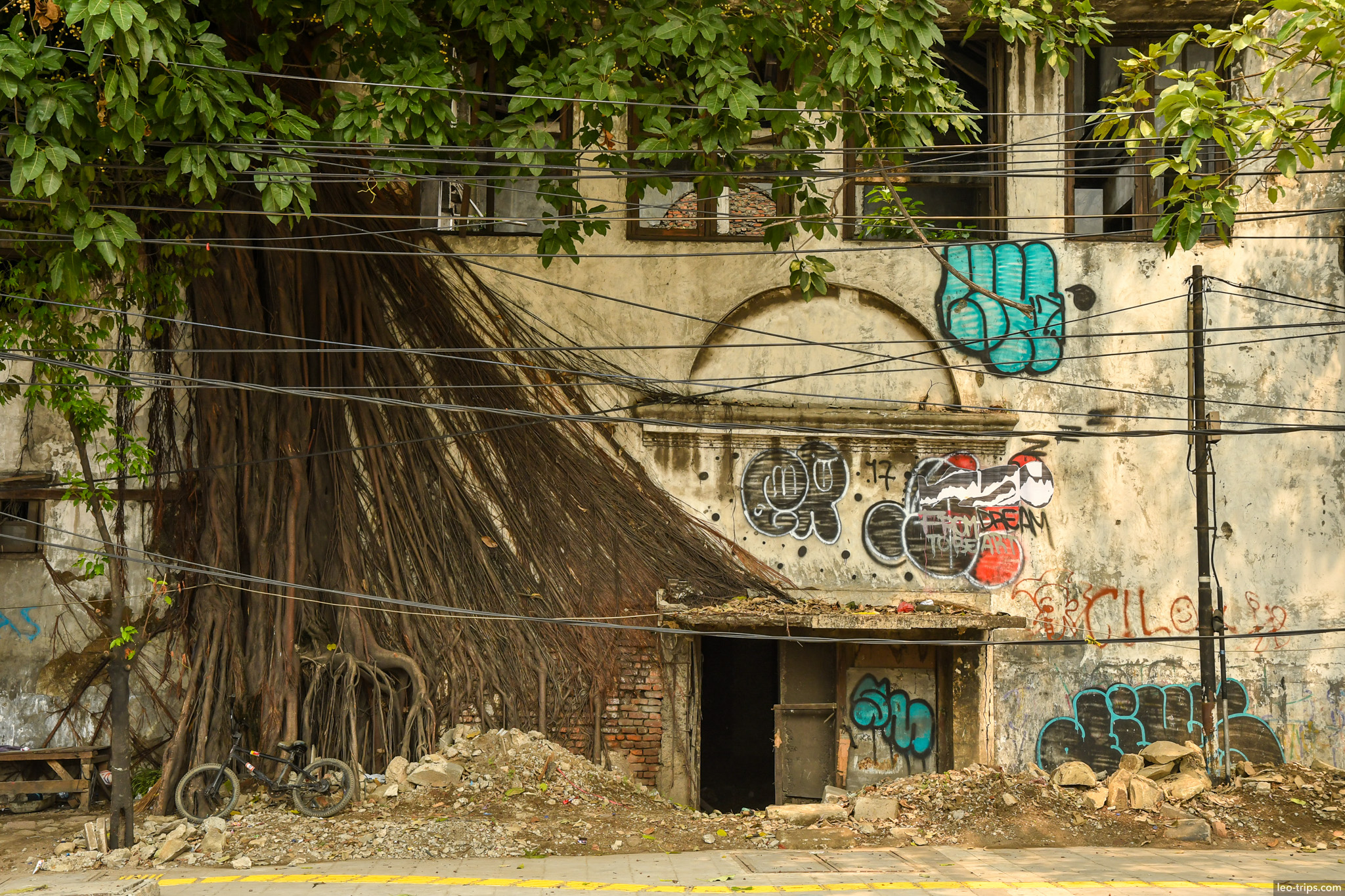 abandoned colonial building banyan graffiti jakarta jakarta