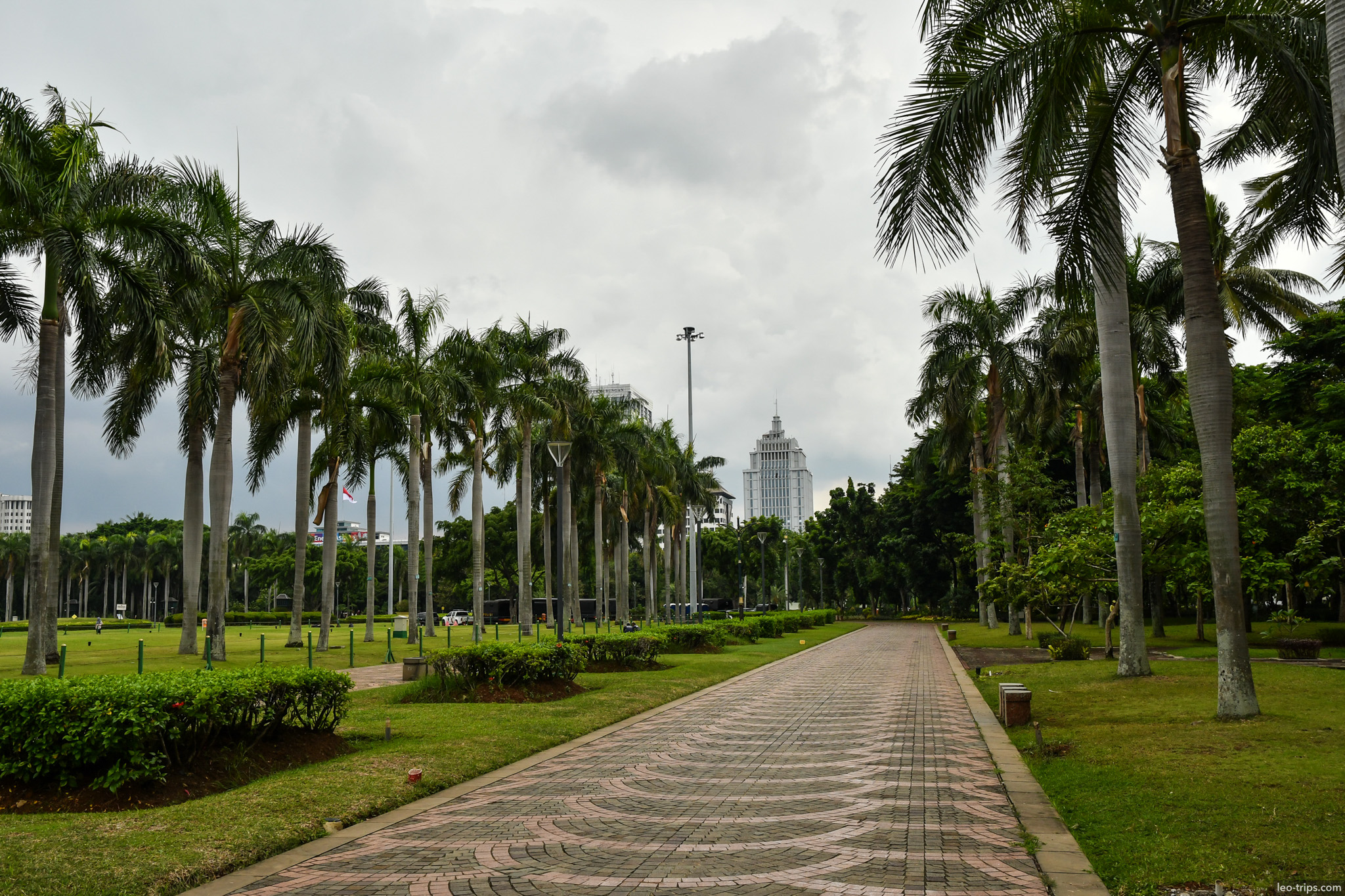 palm tree walkway merdeka square jakarta jakarta