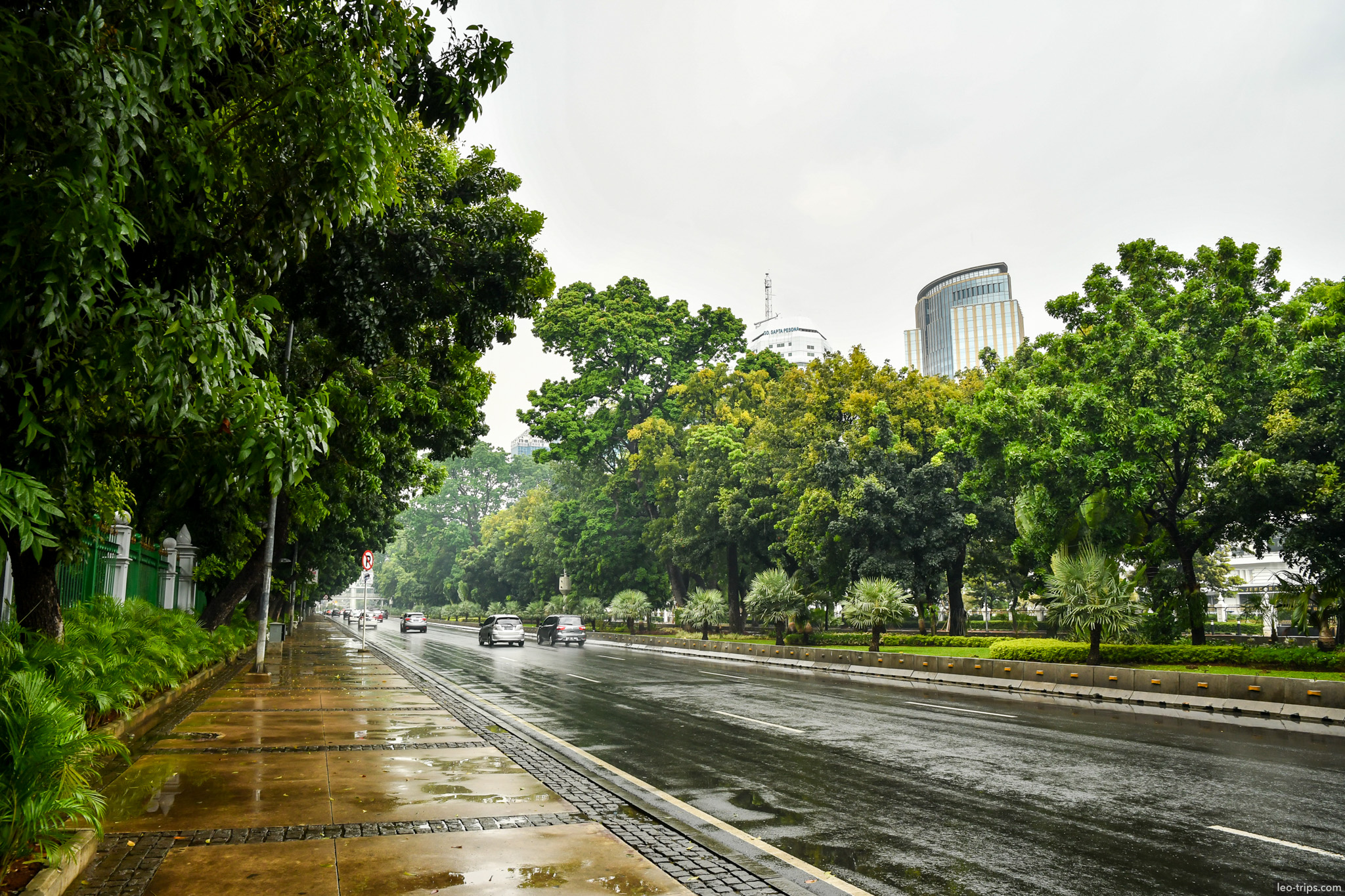 rainy tree lined boulevard jakarta jakarta