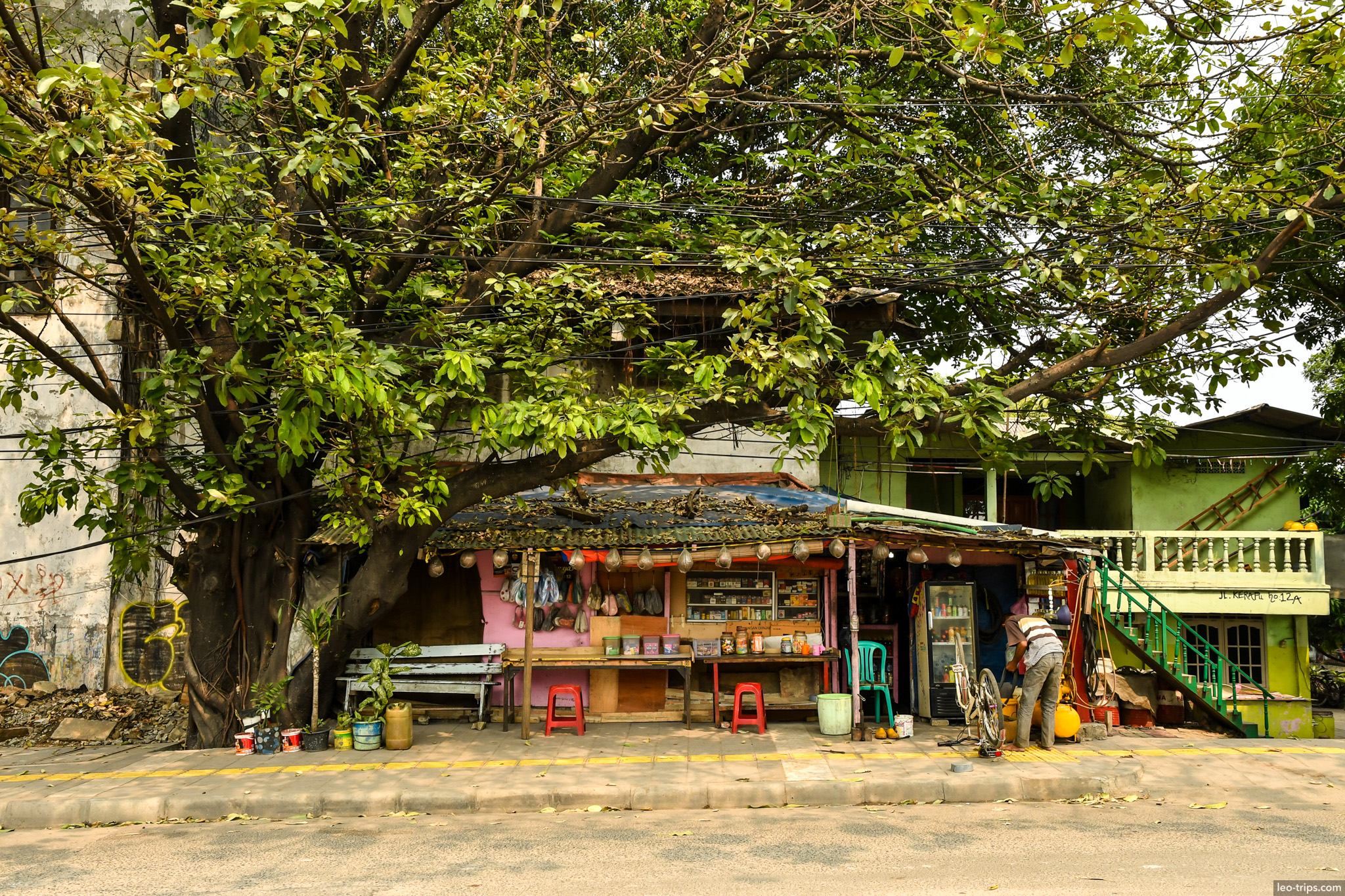 small warung shop under big tree jakarta jakarta