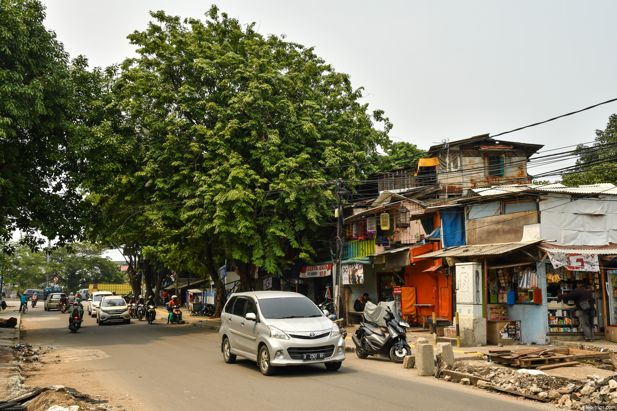 street scene big tree local shops jakarta jakarta