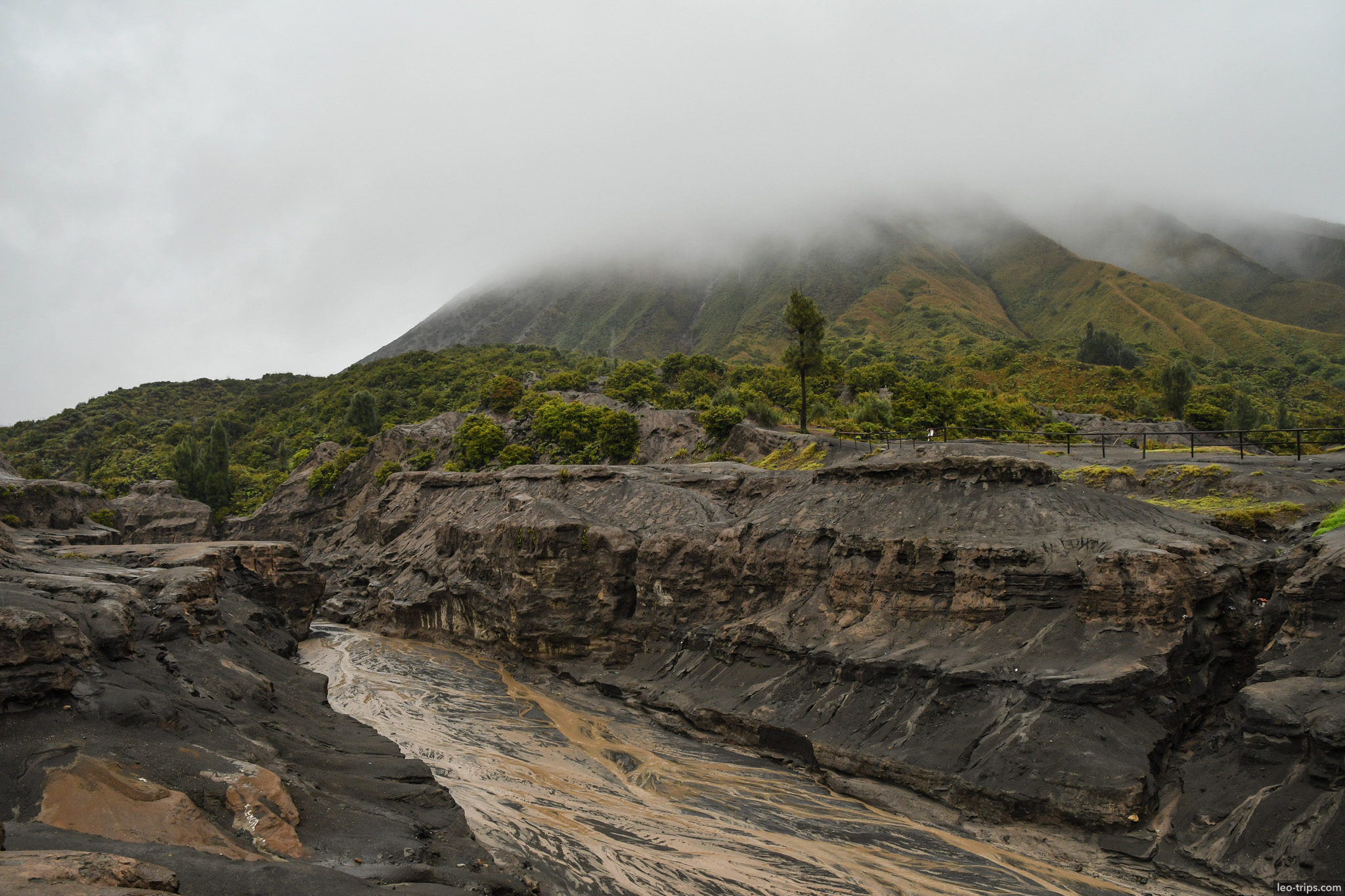 volcanic canyon and green hillside bromo mount bromo