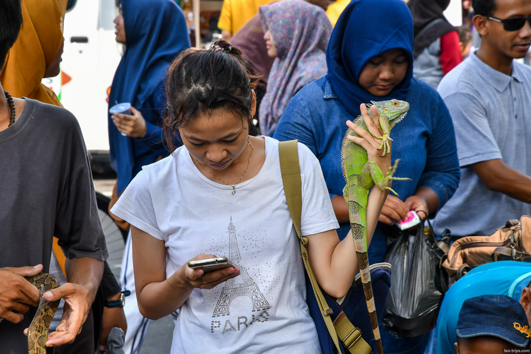 green iguana on womans arm street market semarang