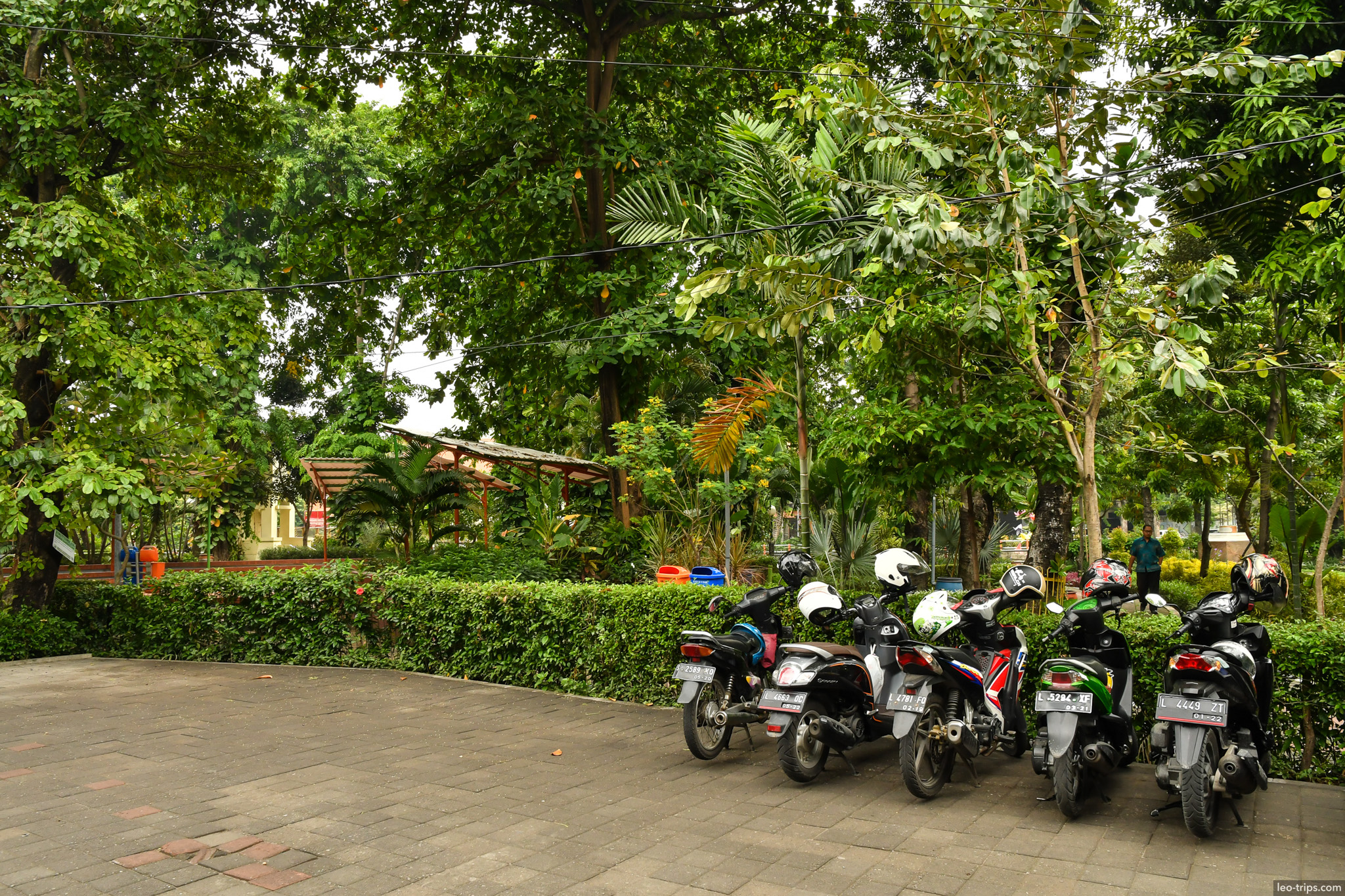 scooters parked lush green city park surabaya