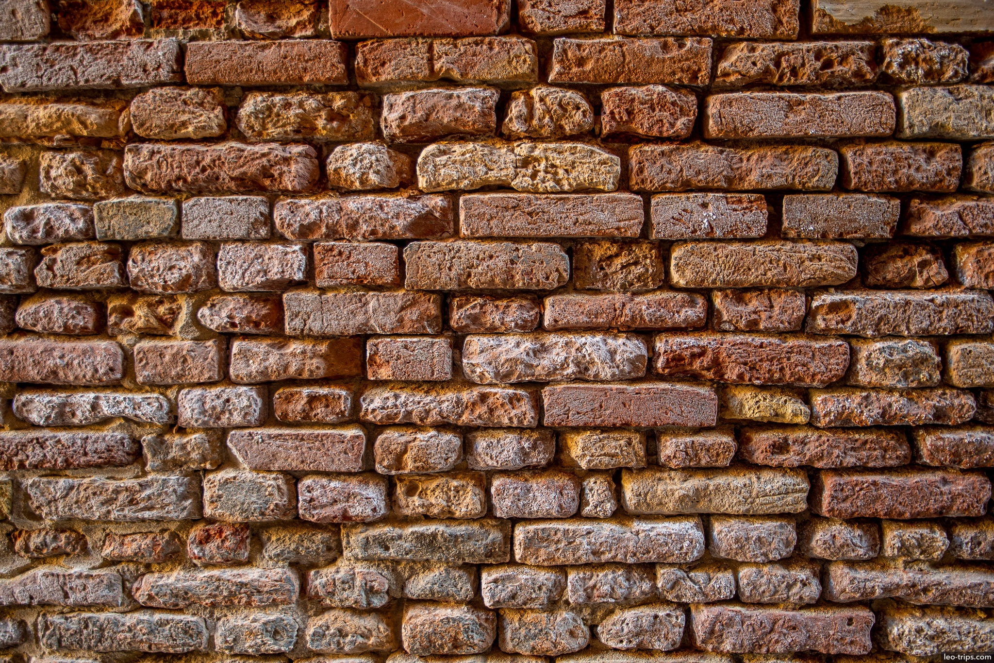 bricks wall in venice venice