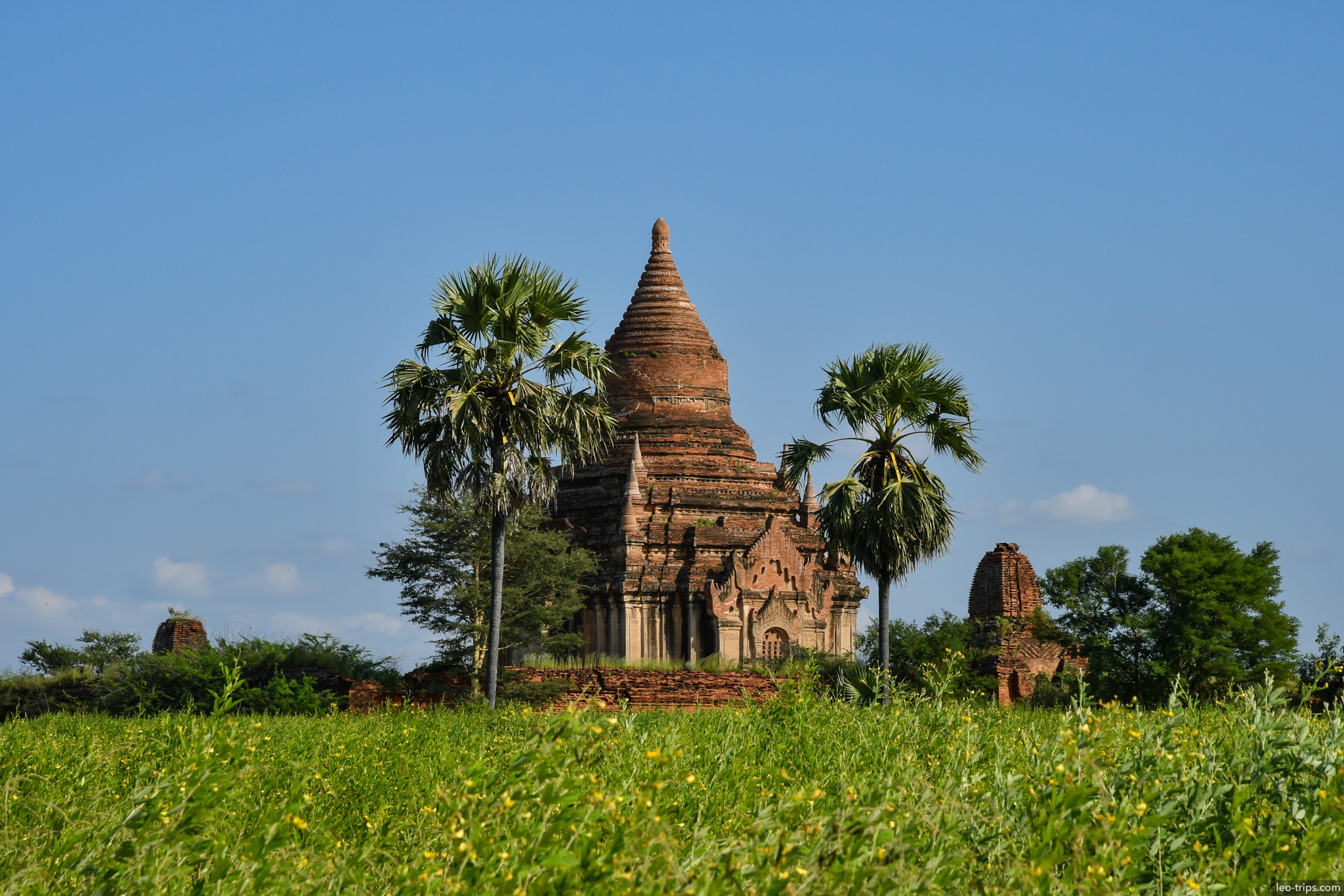 brick temple flanked by palm trees bagan bagan