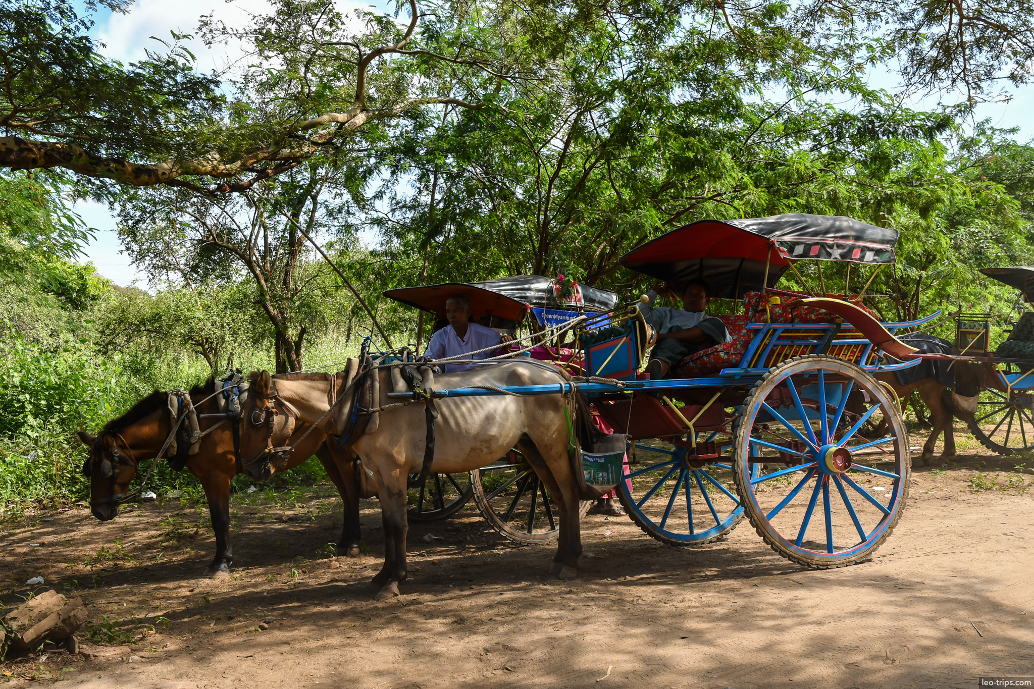 colorful horse carriages parked under trees bagan bagan