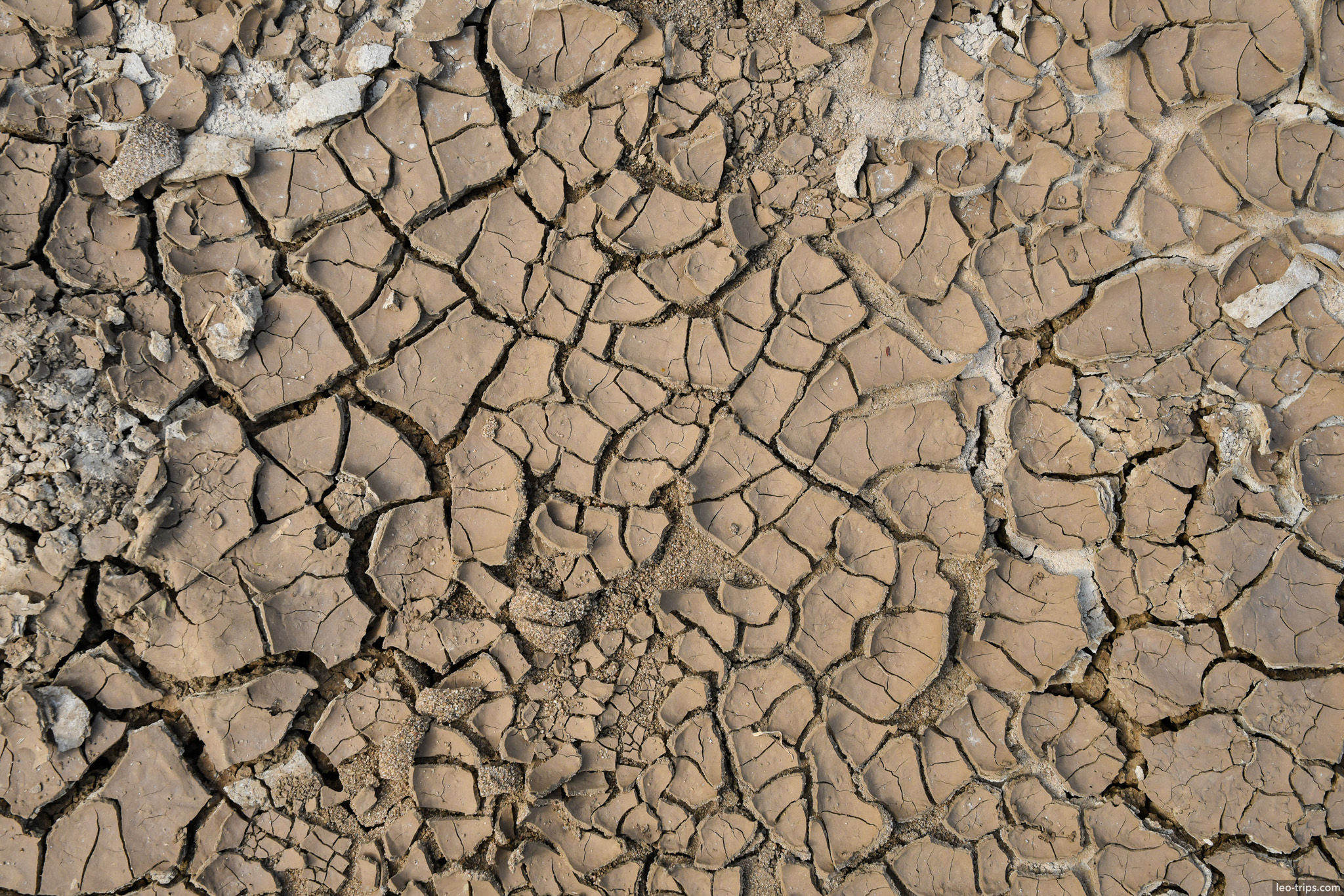 cracked dry earth texture closeup bagan bagan