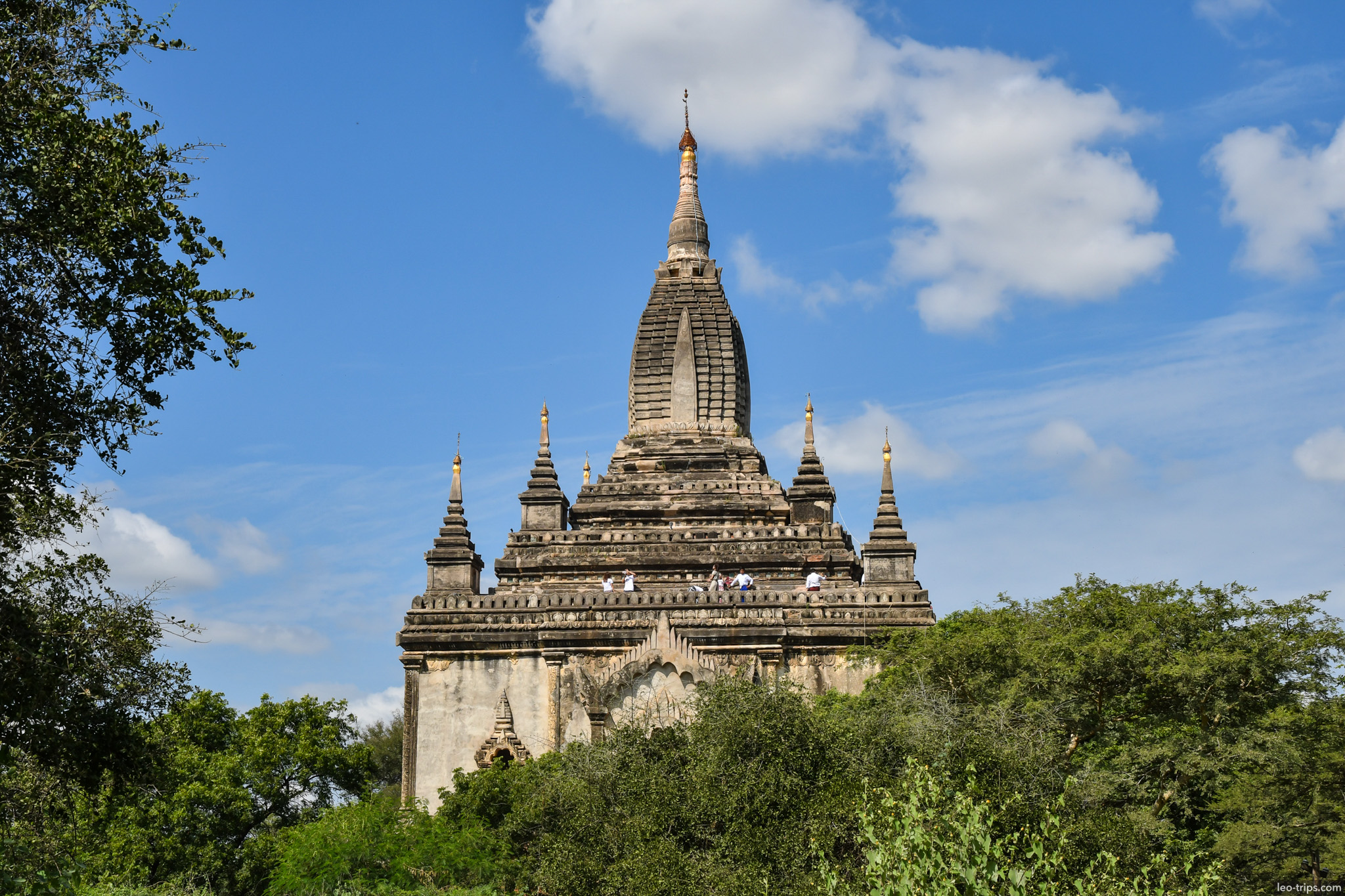 gawdawpalin temple spire above trees bagan bagan