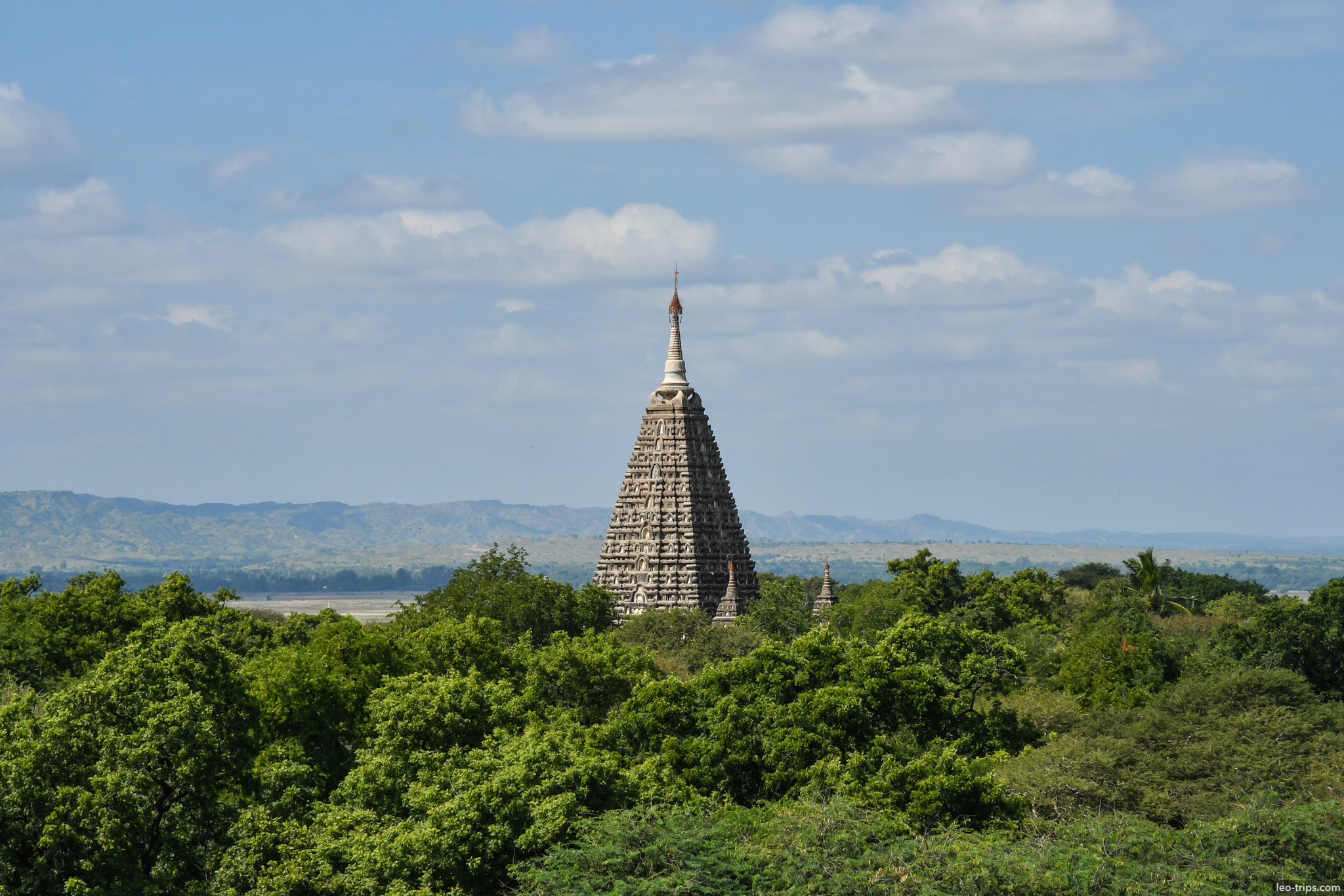 mahabodhi temple spire above canopy bagan bagan