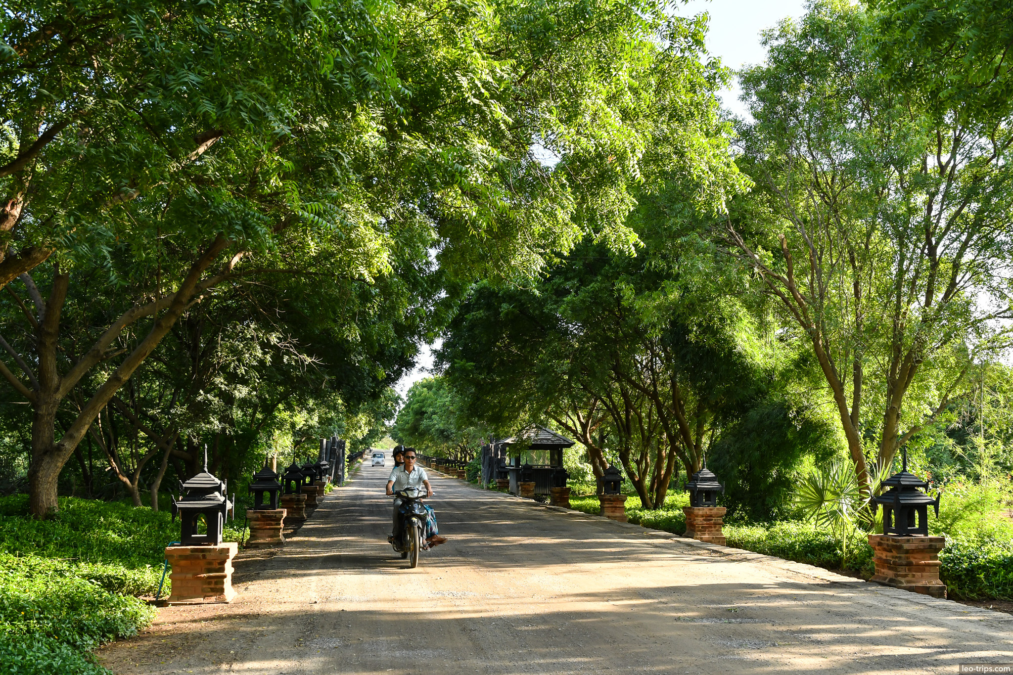 tree lined road with motorbike lanterns bagan bagan