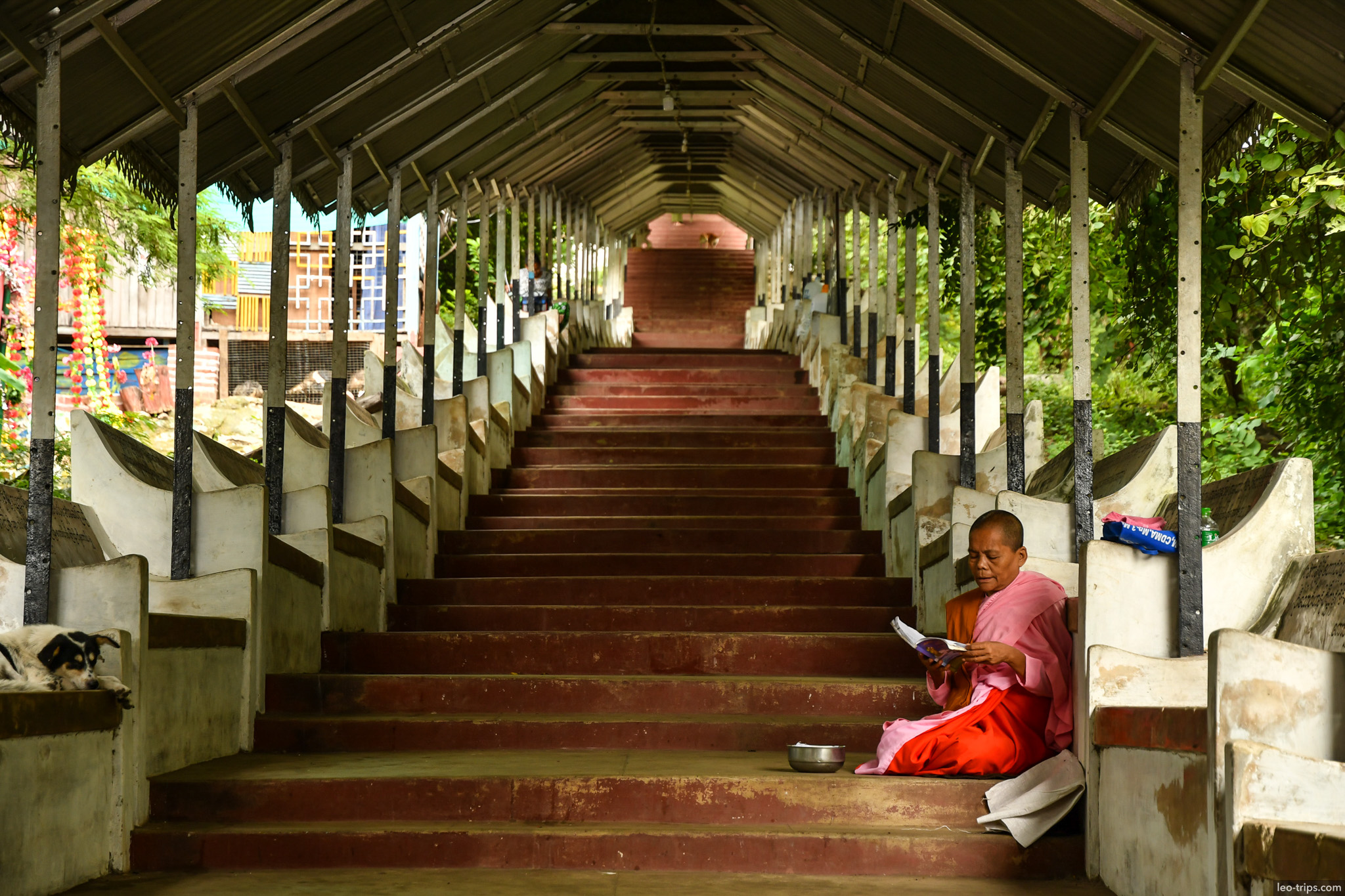 buddhist nun reading on covered temple stairway mandalay