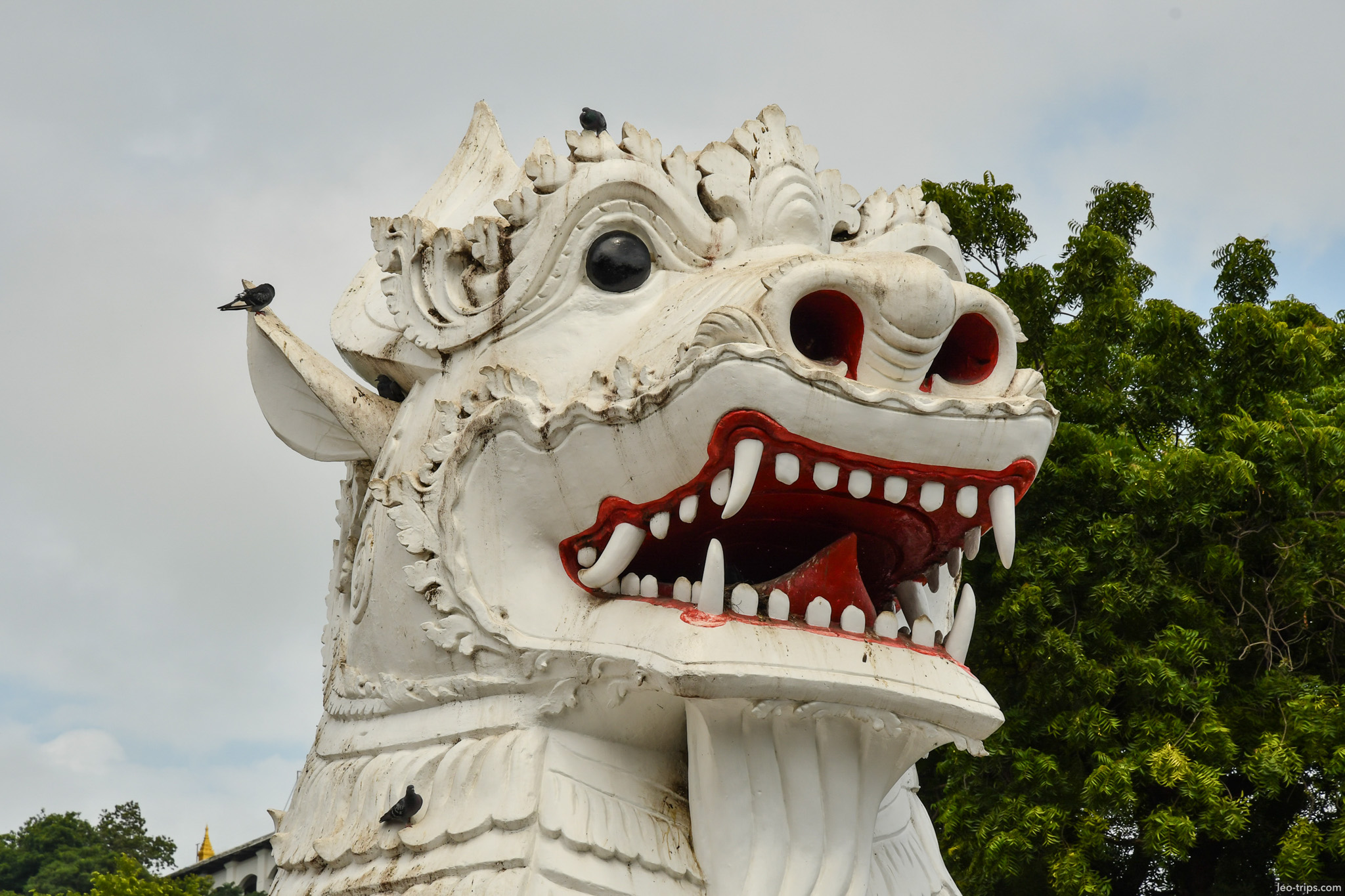 white chinthe lion head closeup mandalay hill mandalay