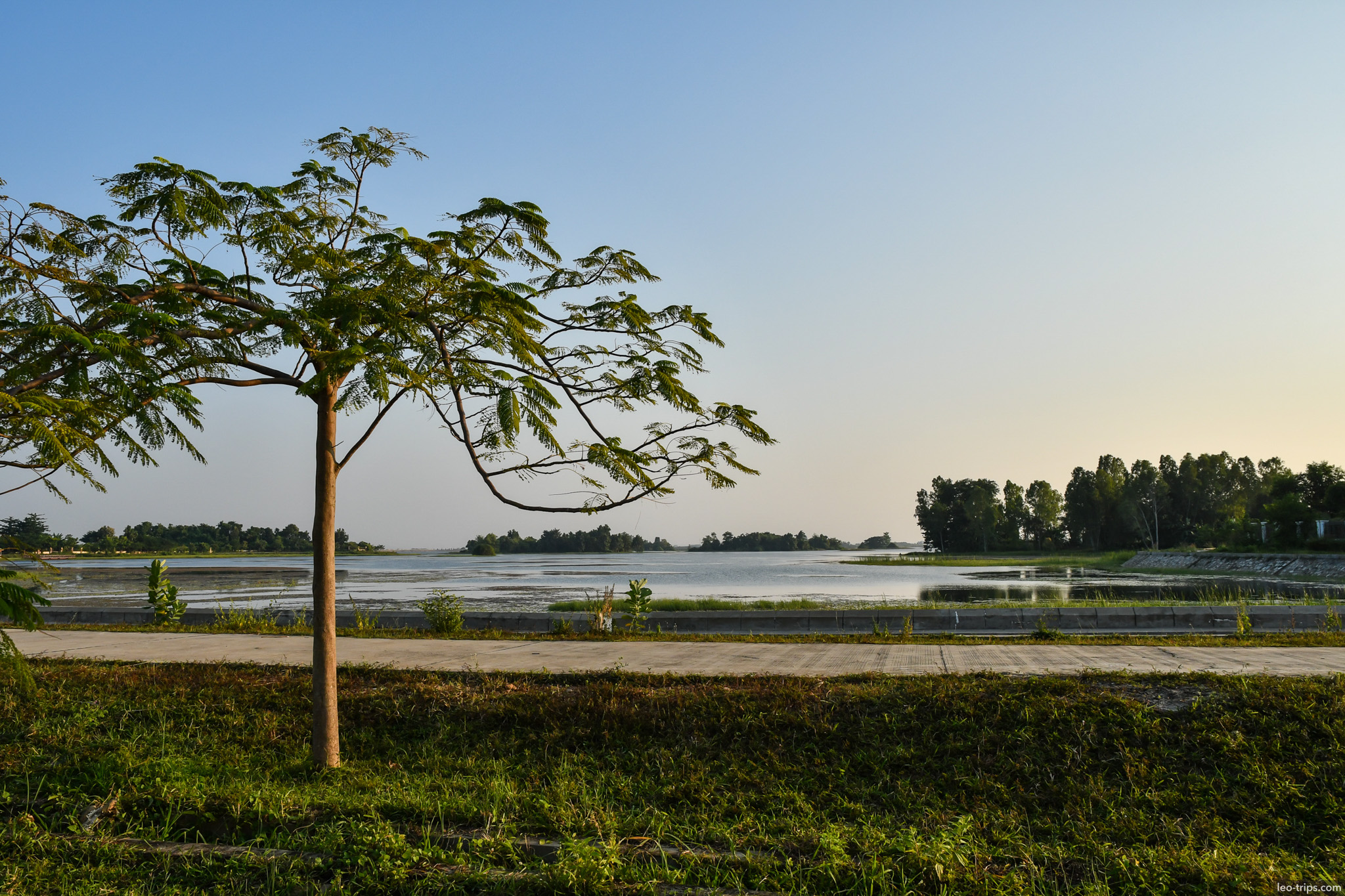 lone tree by lake at golden hour naypyidaw naypyidaw