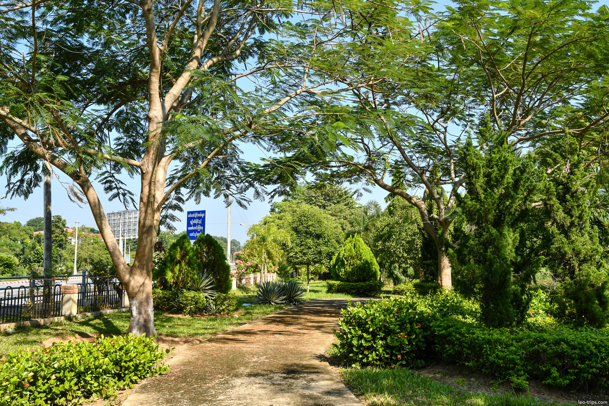 shady garden path under rain trees naypyidaw naypyidaw