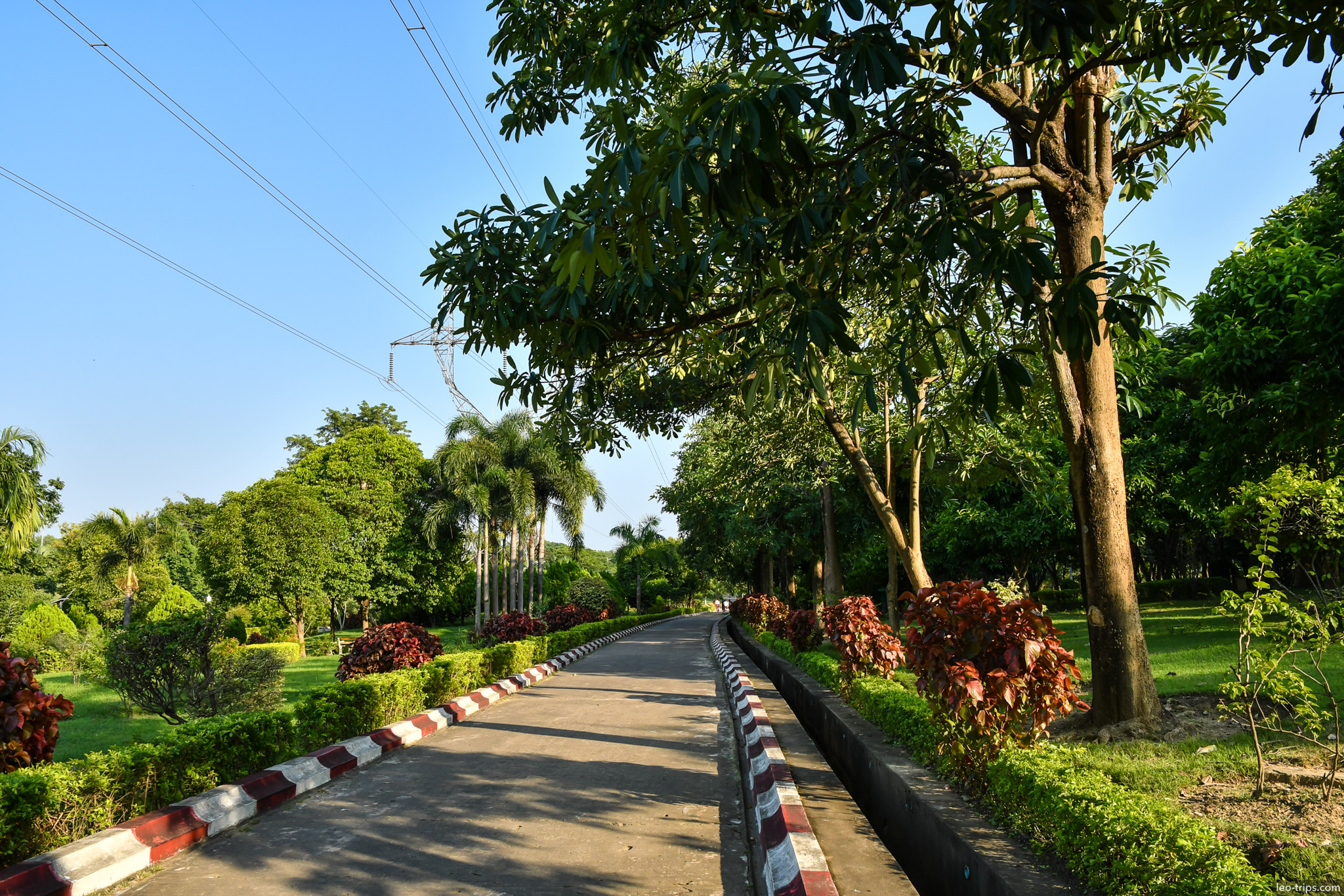 tree lined paved path in park naypyidaw naypyidaw