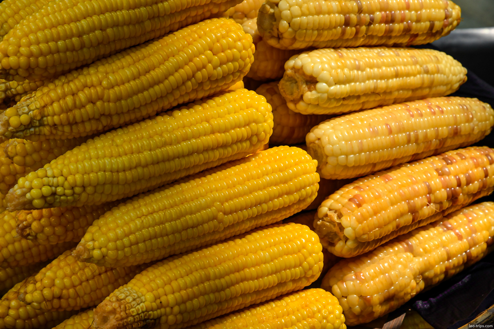 yangon boiled corn cobs street food market closeup yangon