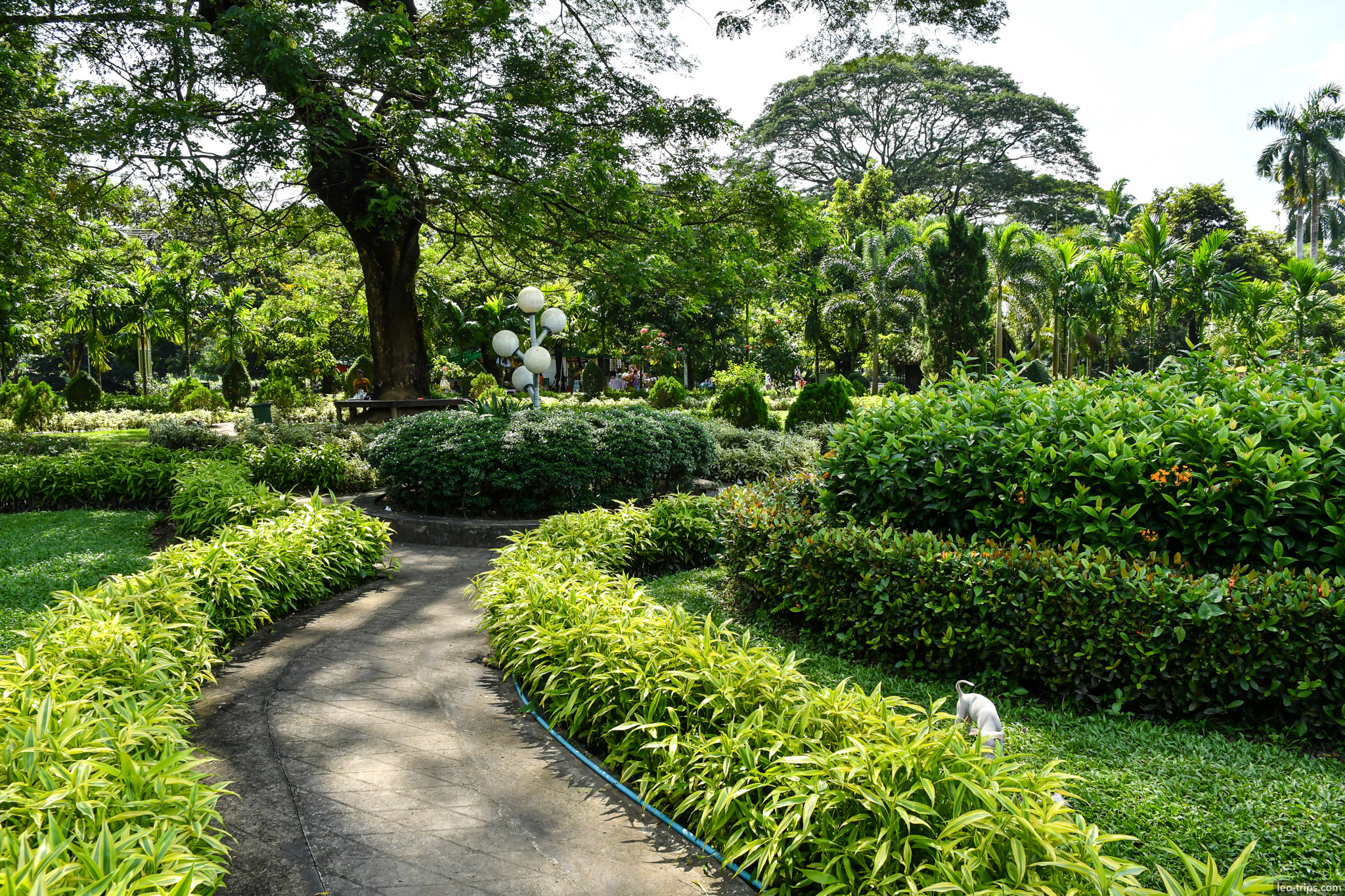 yangon peoples park lush garden path palm trees yangon