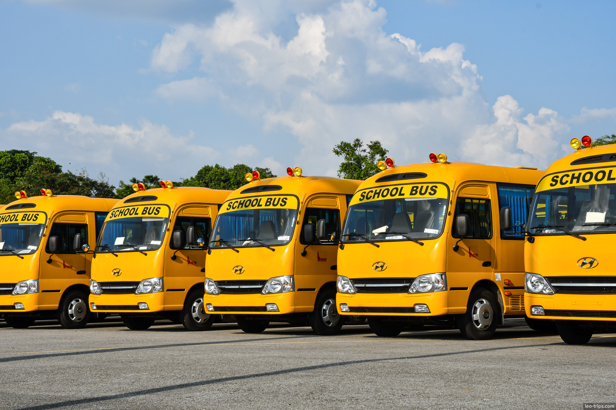yellow hyundai school buses parked in row yangon