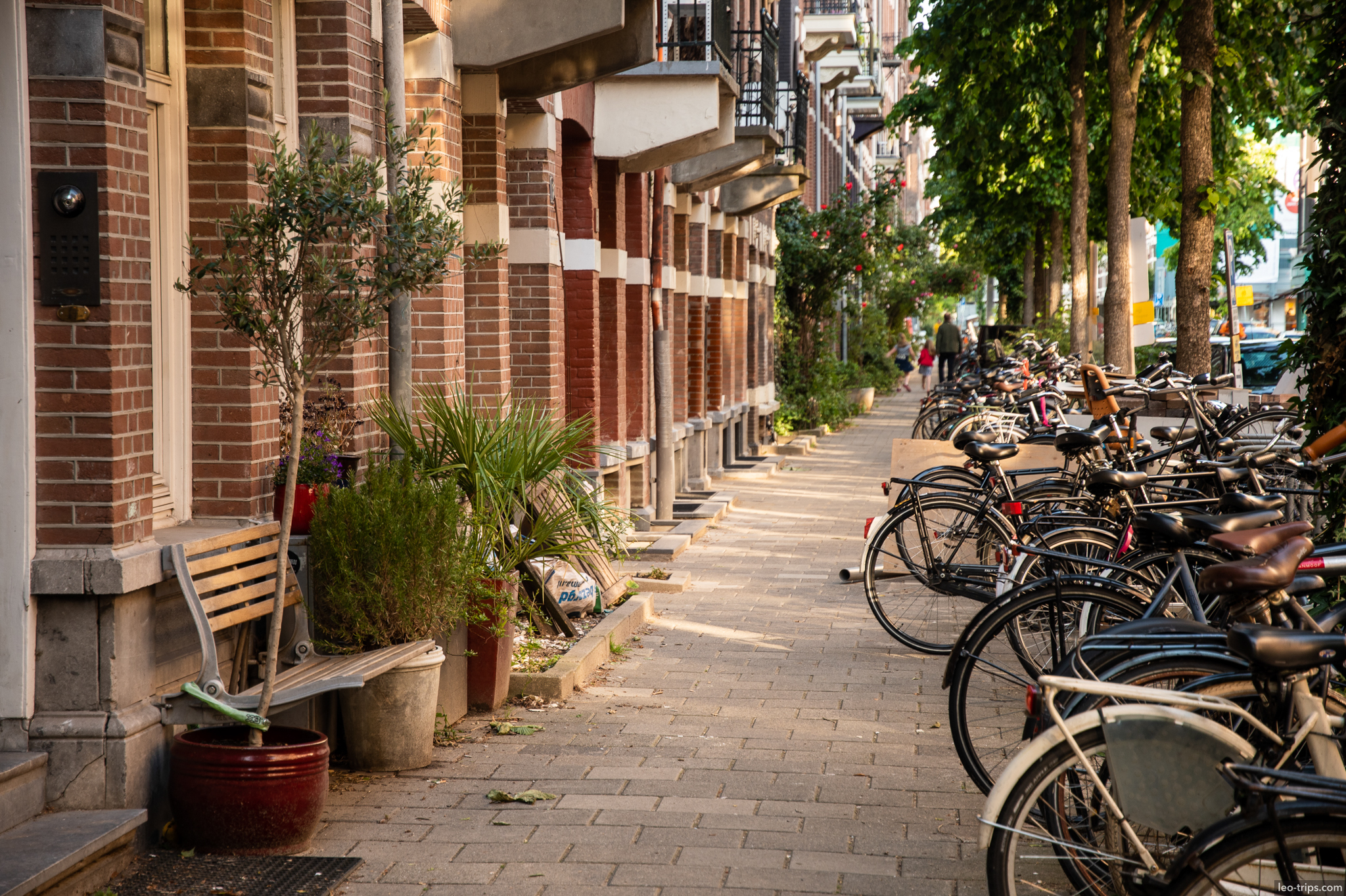 amsterdam street with bicycles and brick houses amsterdam