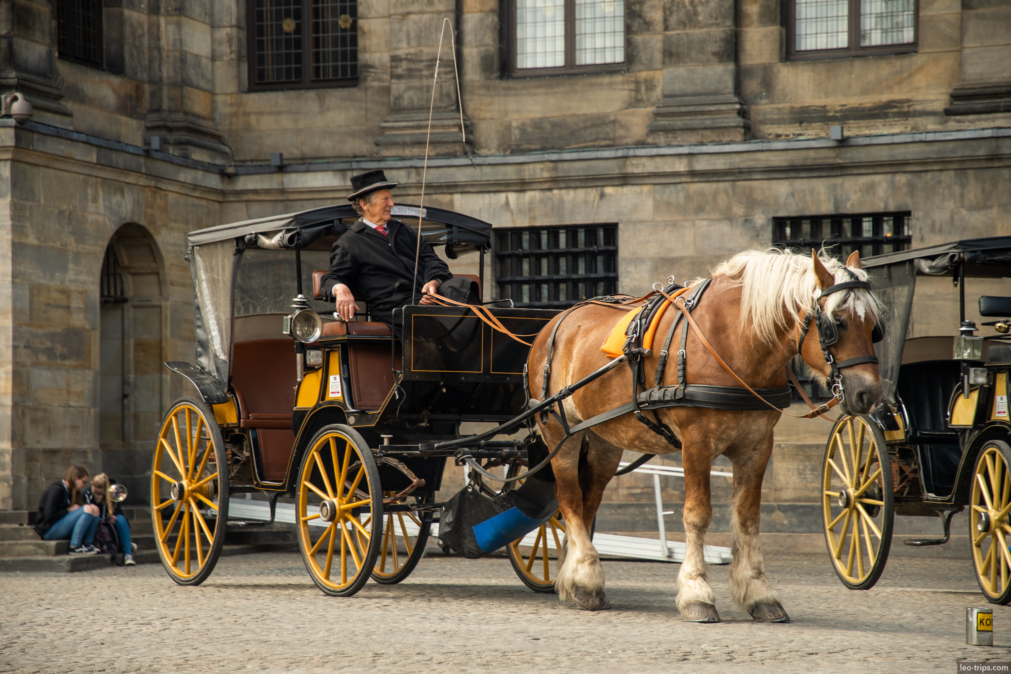 horse carriage at royal palace dam square amsterdam