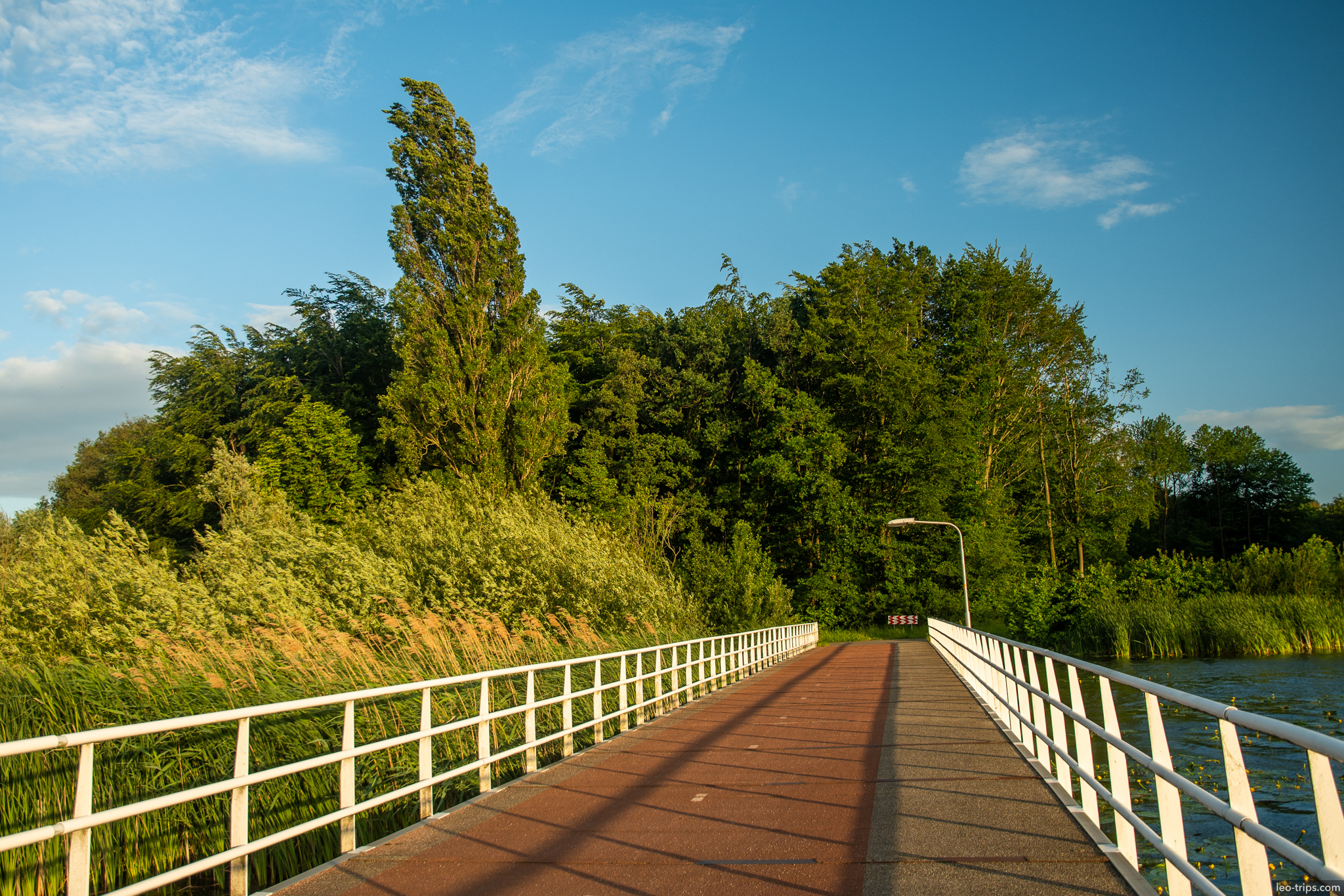 pedestrian bridge over water golden hour amsterdam
