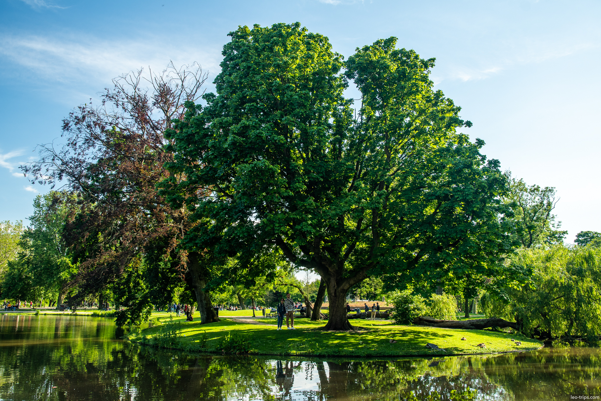vondelpark amsterdam large trees by pond amsterdam