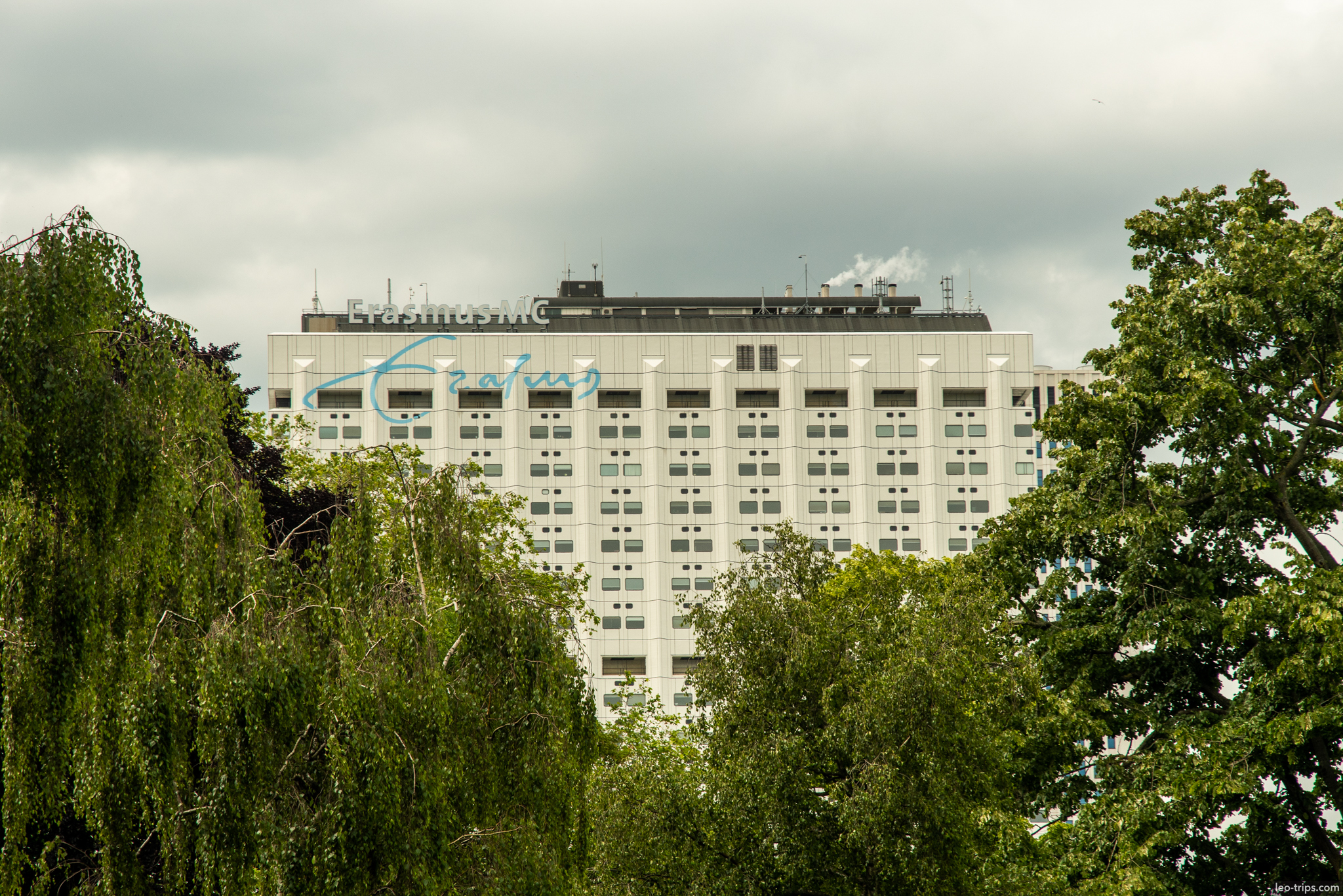 erasmus mc hospital view through trees rotterdam