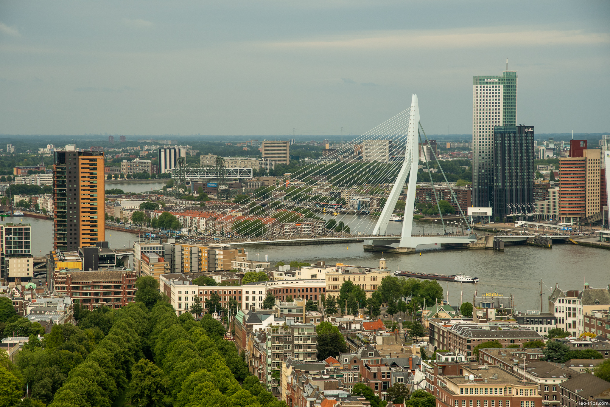 erasmusbrug bridge aerial view rotterdam