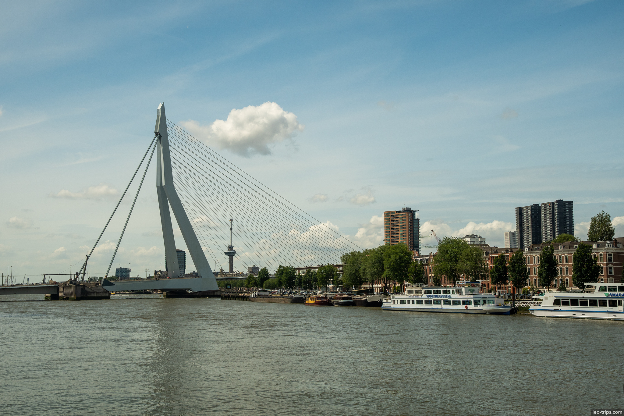 erasmusbrug maas river cruise ships rotterdam