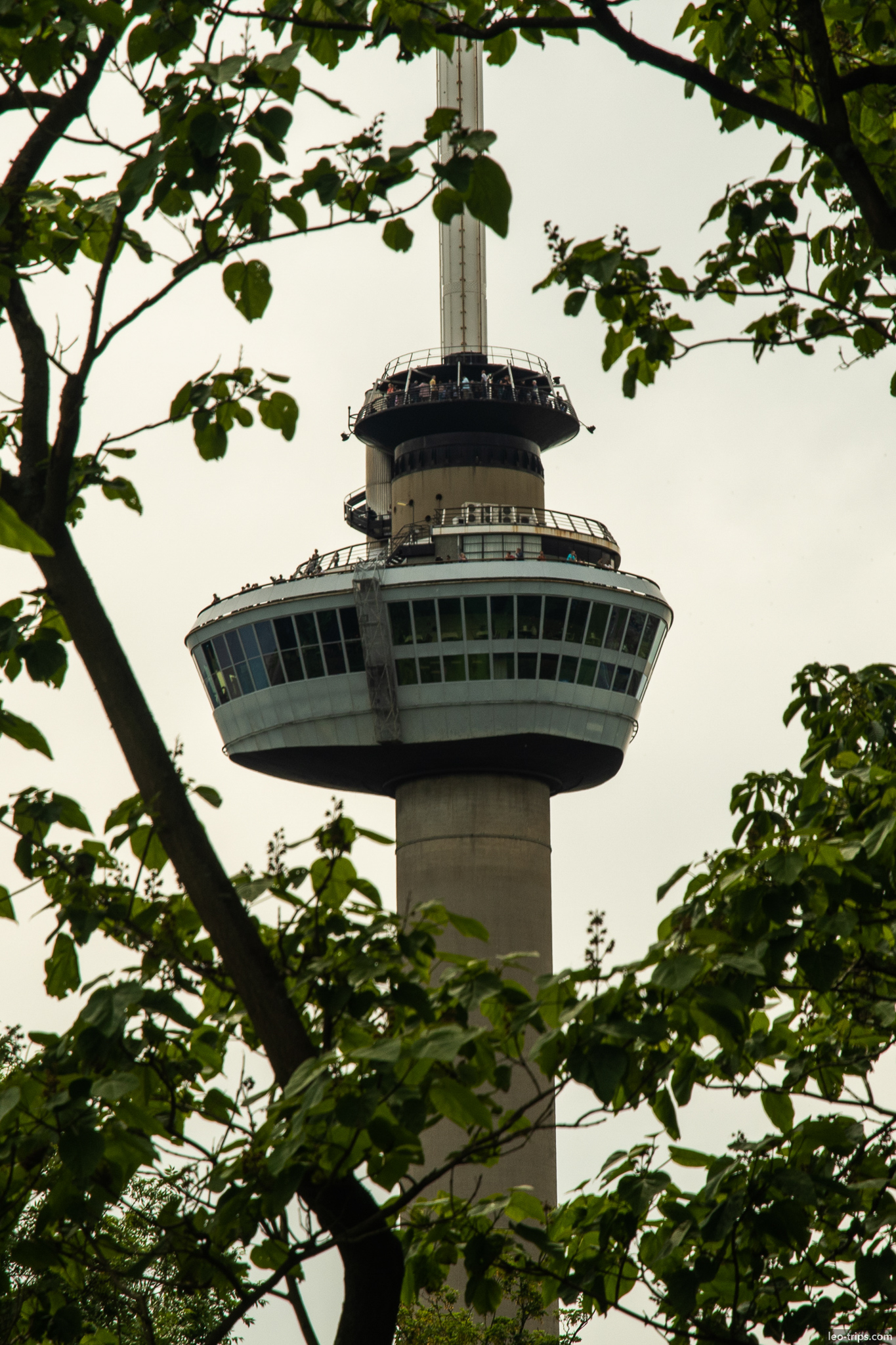 euromast tower view through trees rotterdam