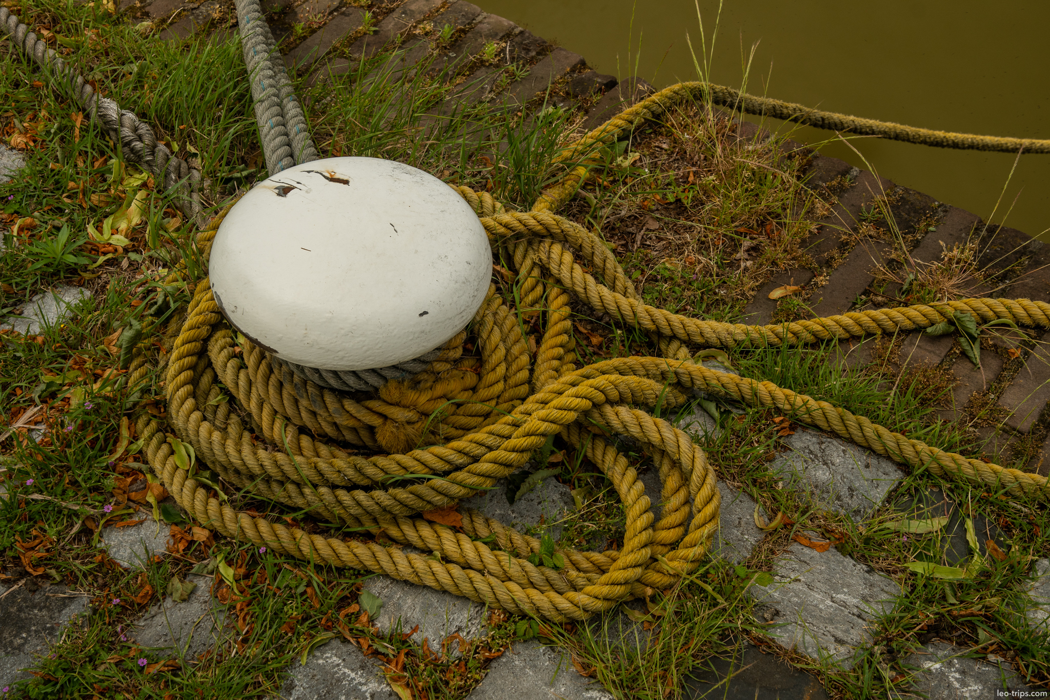 harbor mooring bollard rope closeup rotterdam