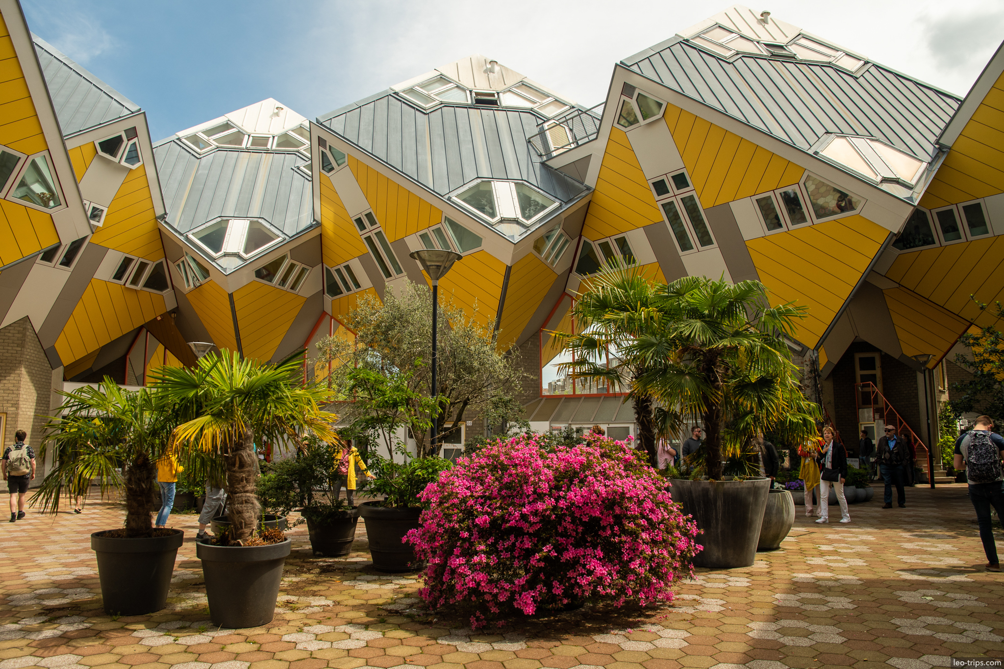 kubuswoningen cube houses courtyard plants rotterdam