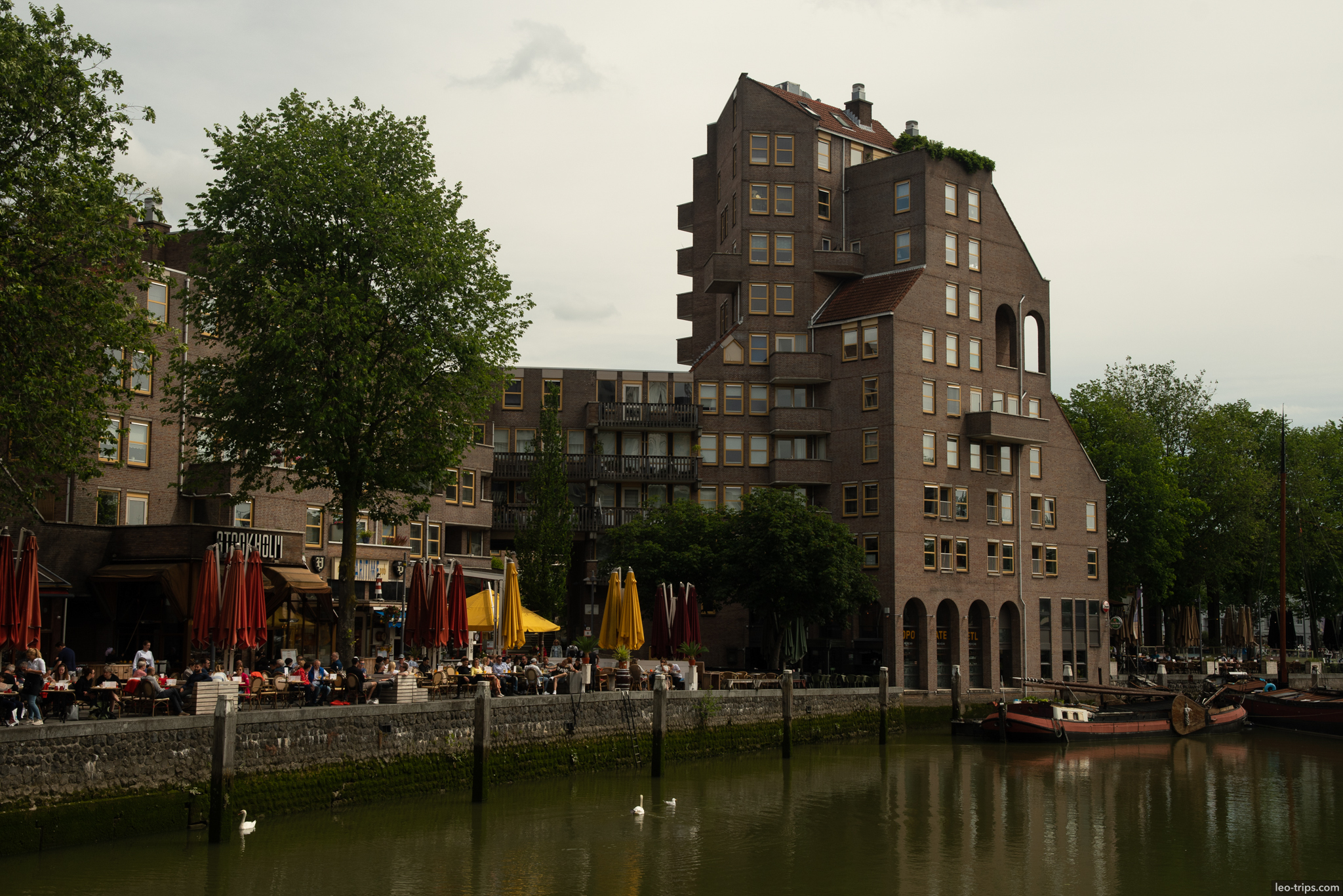 oudehaven waterfront cafe terrace swans rotterdam