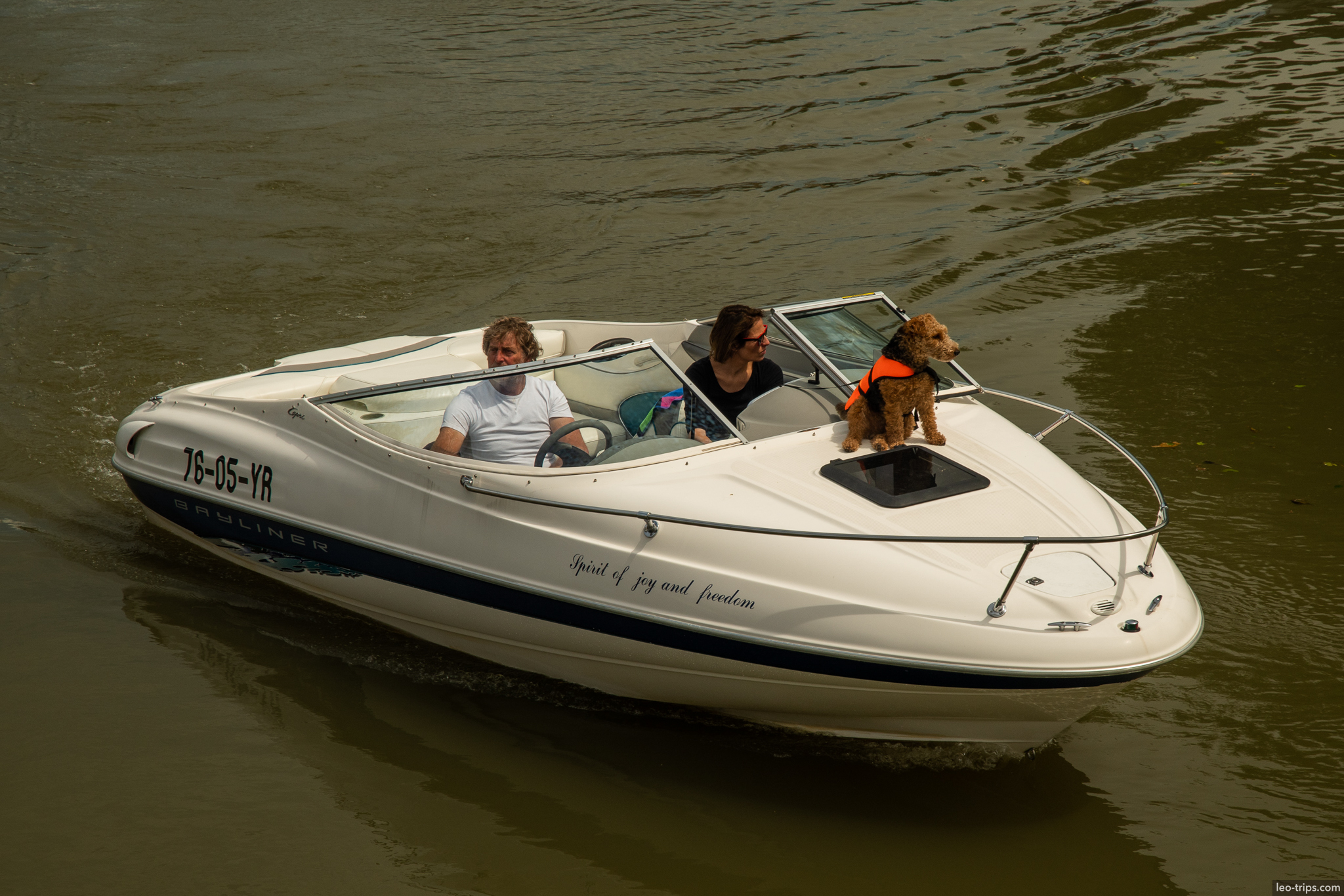 speedboat couple dog maas river rotterdam