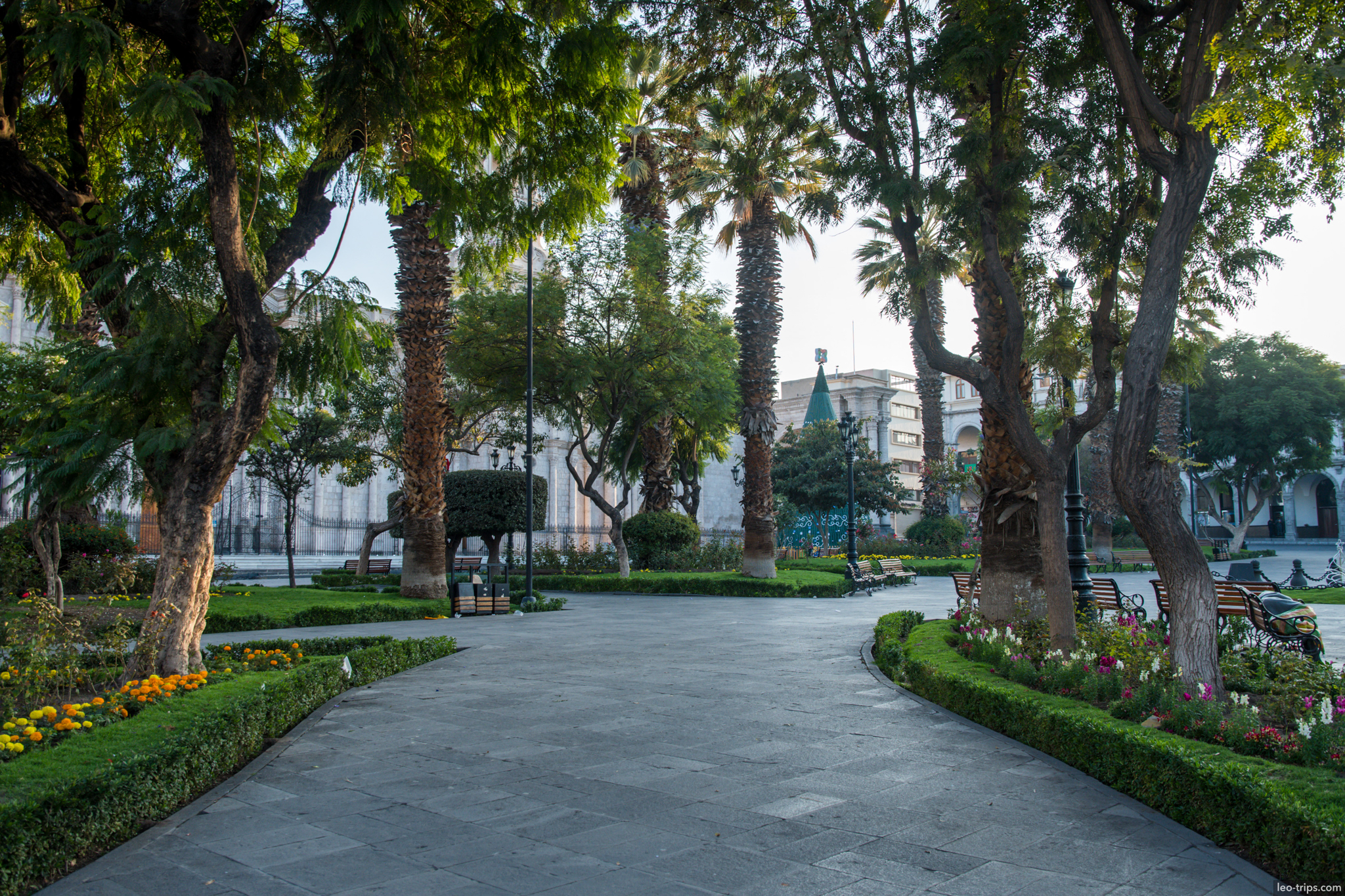 plaza de armas morning palms empty arequipa arequipa