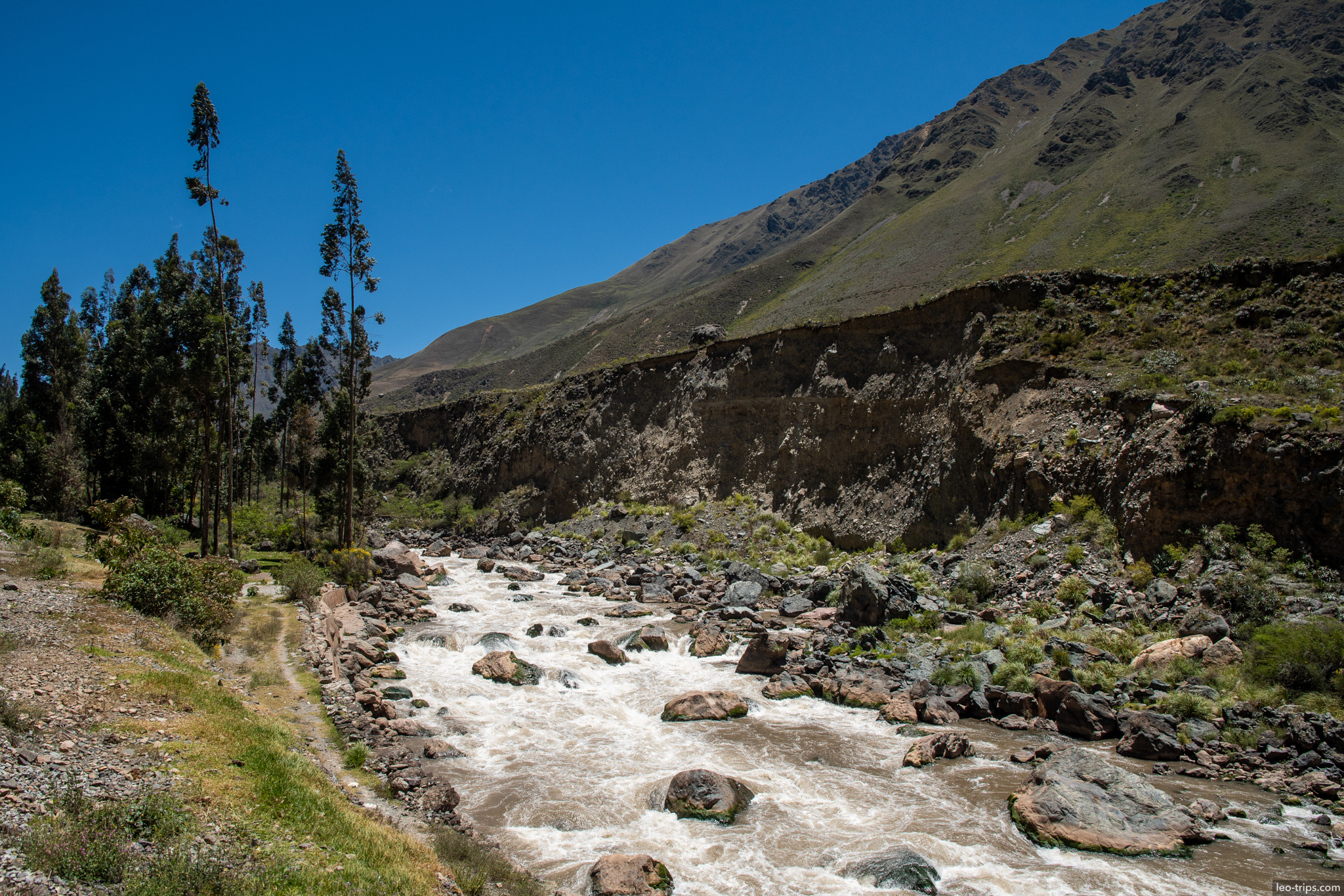 urubamba river rapids eucalyptus trees around aguas calientes
