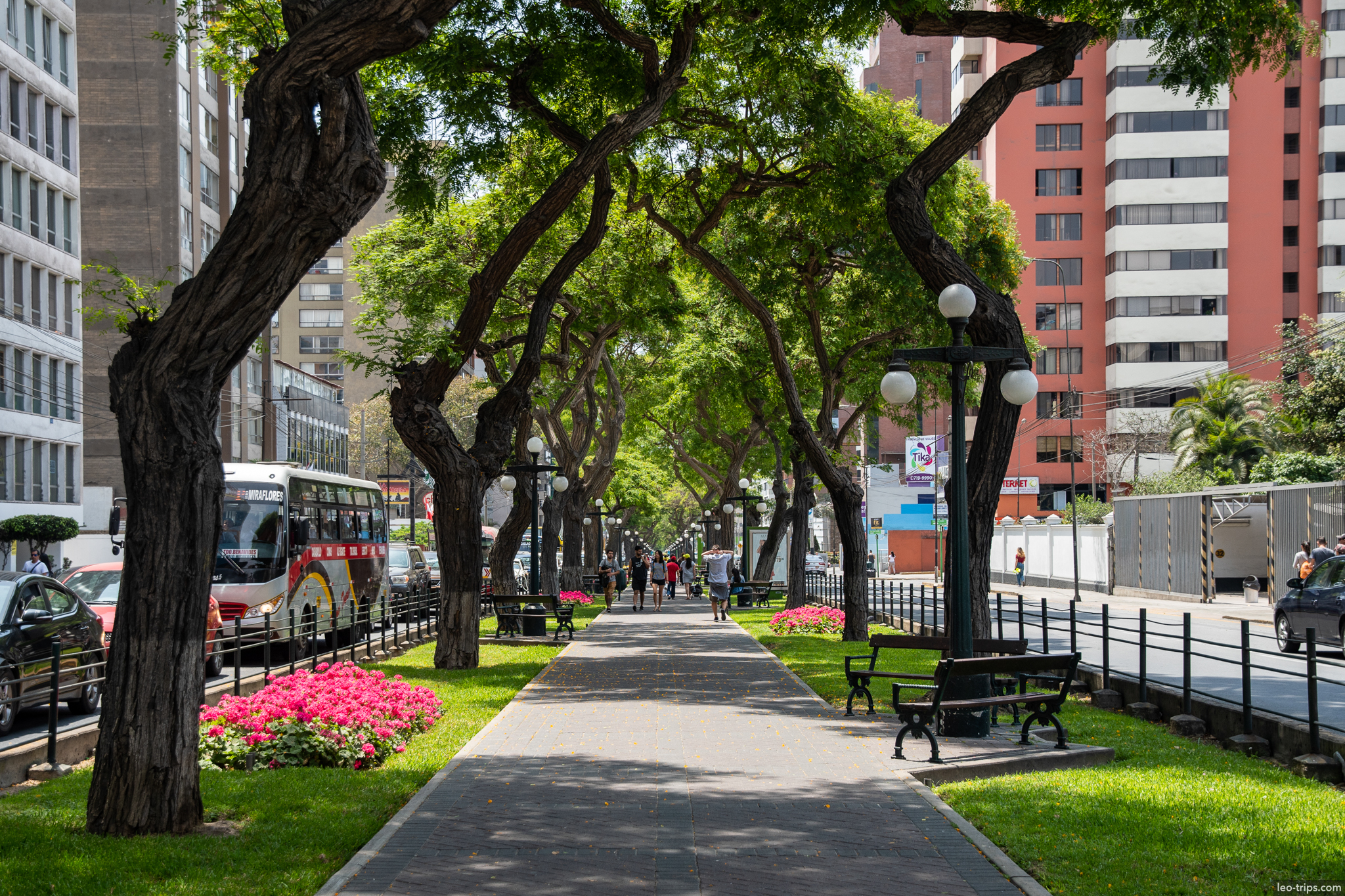 avenida arequipa miraflores tree lined boulevard lima