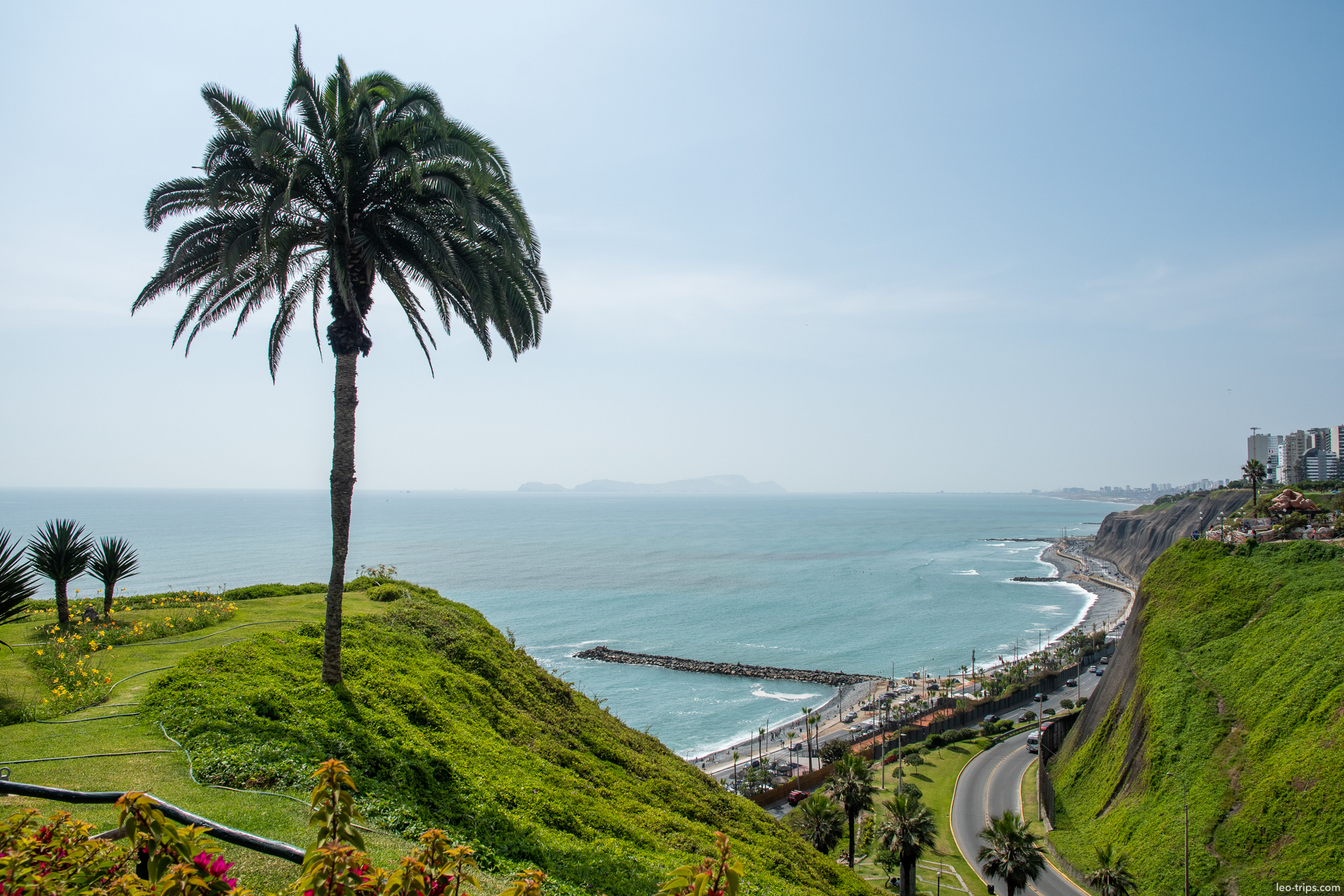 miraflores coastline costa verde palm tree lima