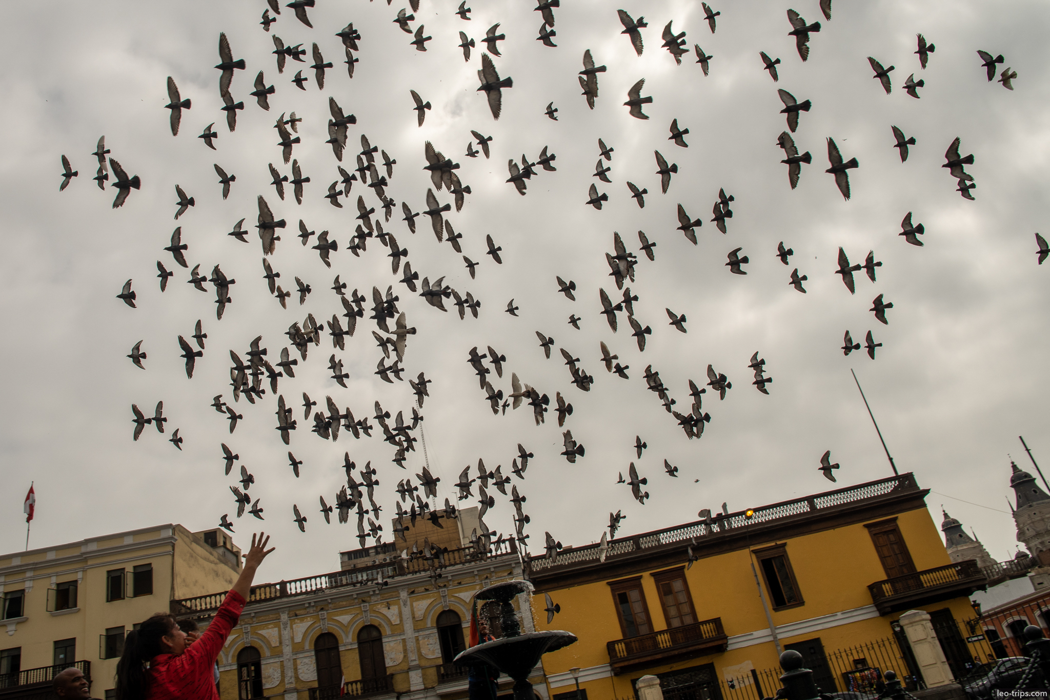 pigeons flock plaza mayor lima woman lima