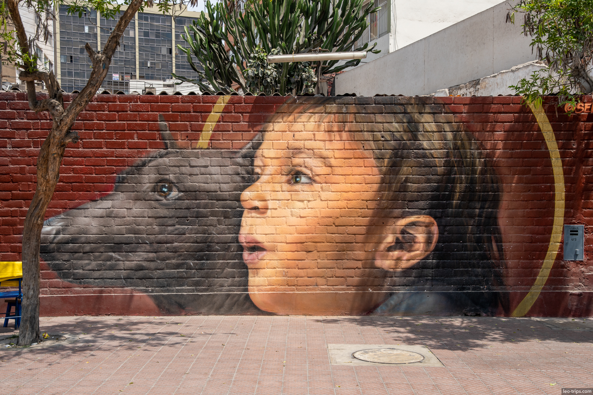 street art mural child dog miraflores lima