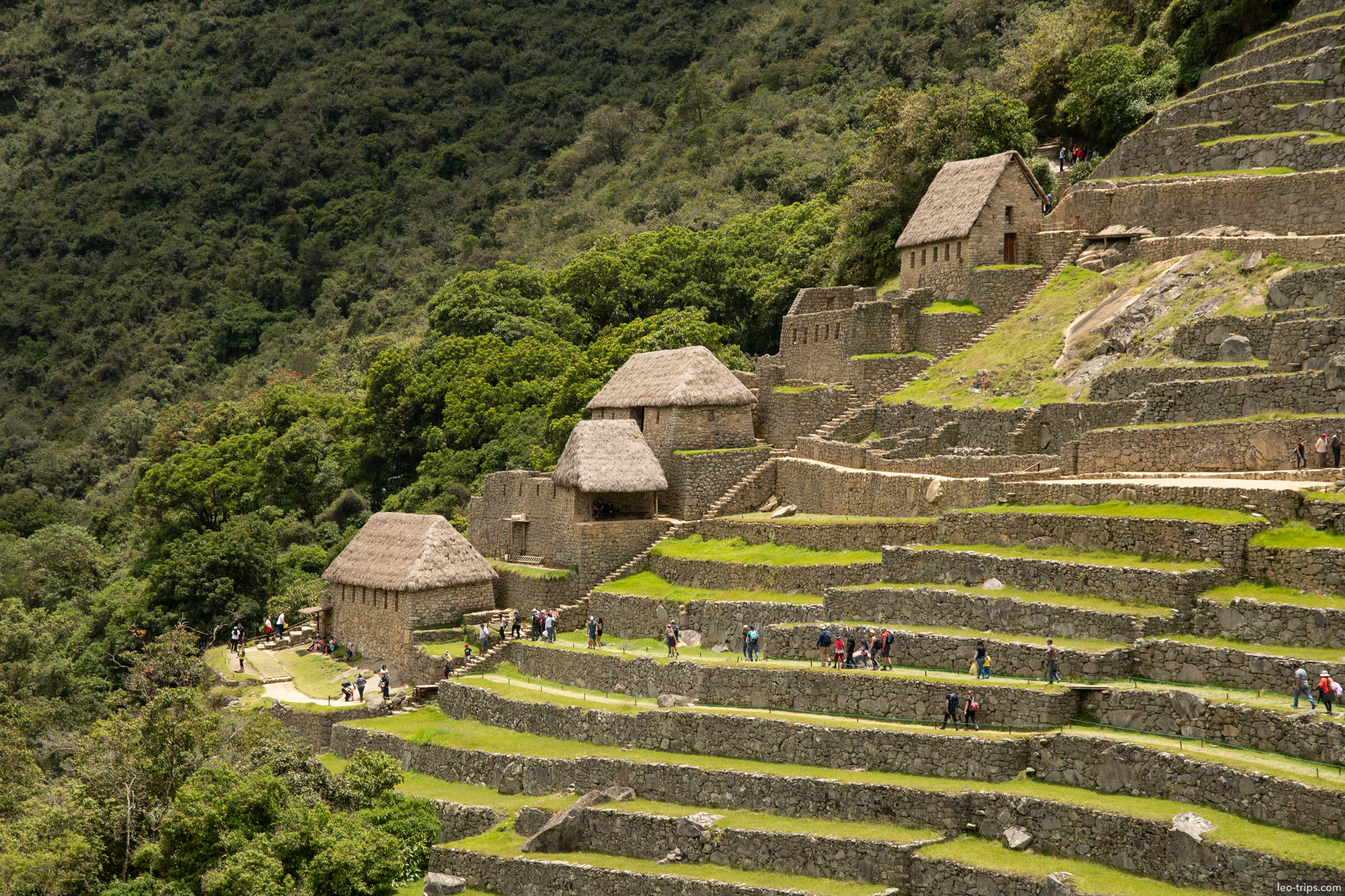 agricultural sector guardhouses thatched roofs machu picchu