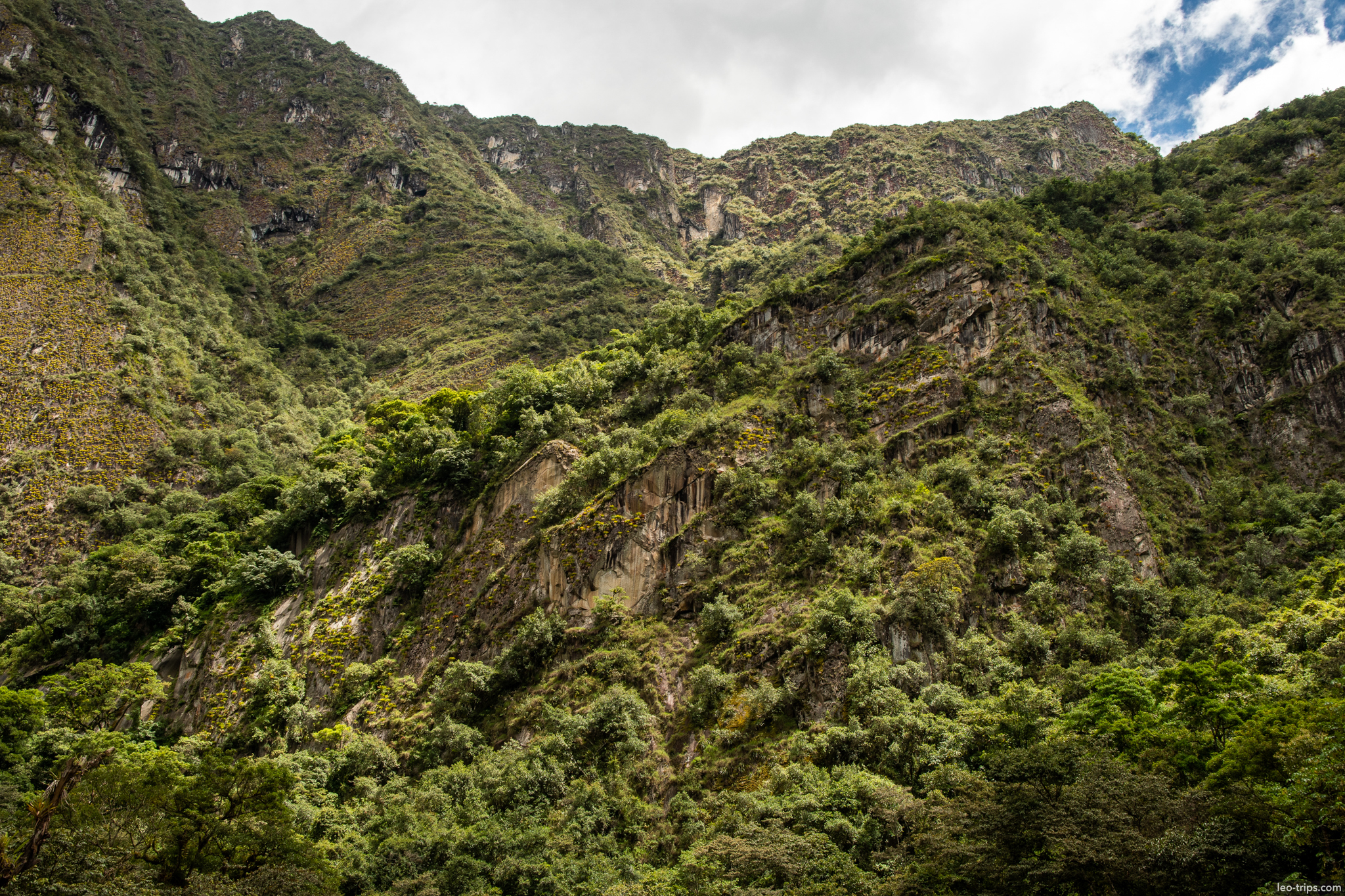 andean cloud forest rocky cliff slope machu picchu